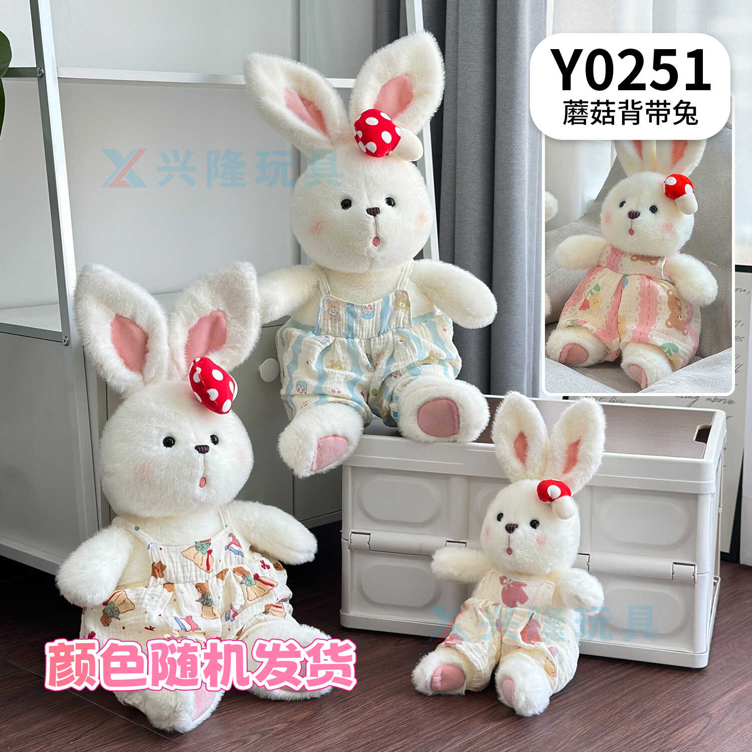 Y0251