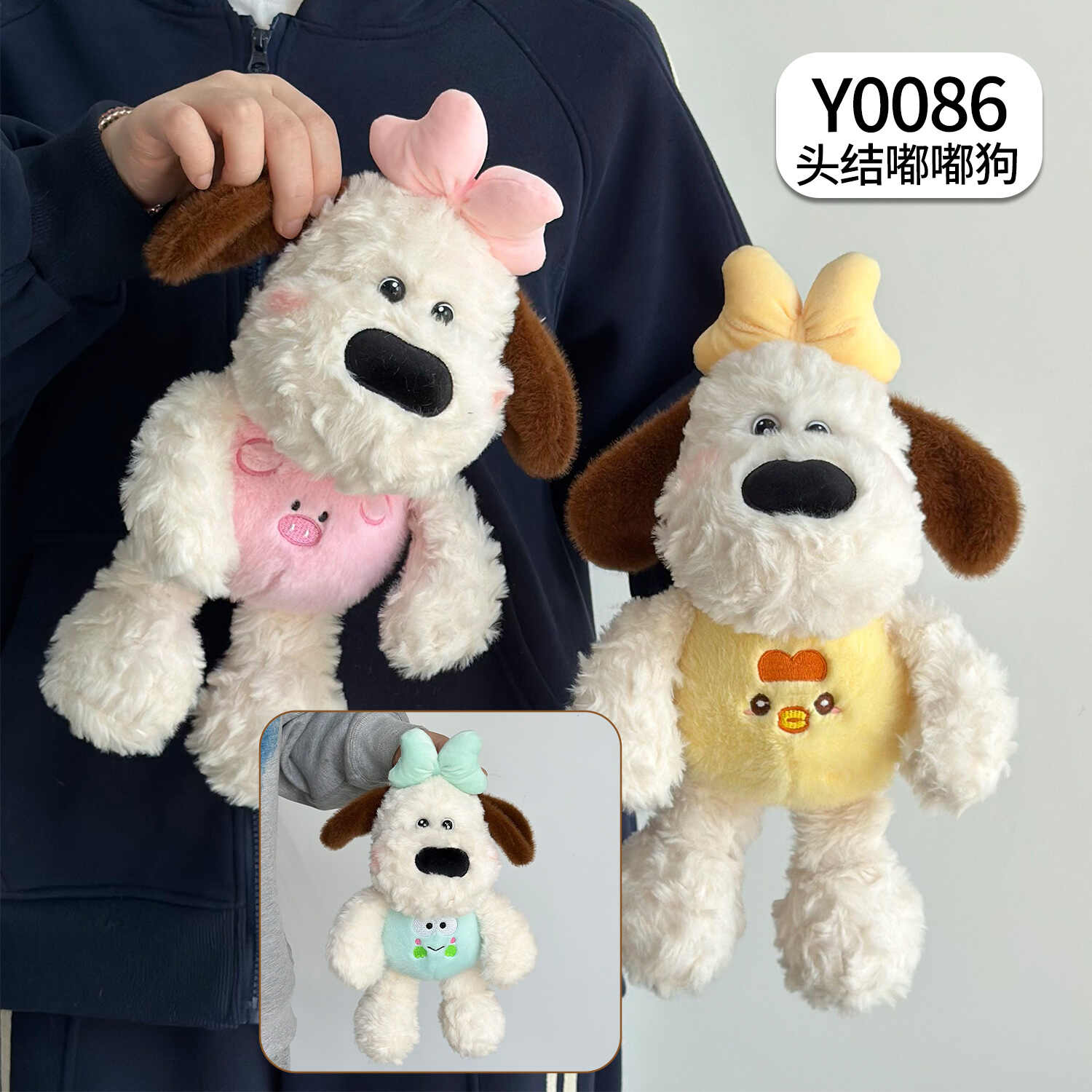 Y0086