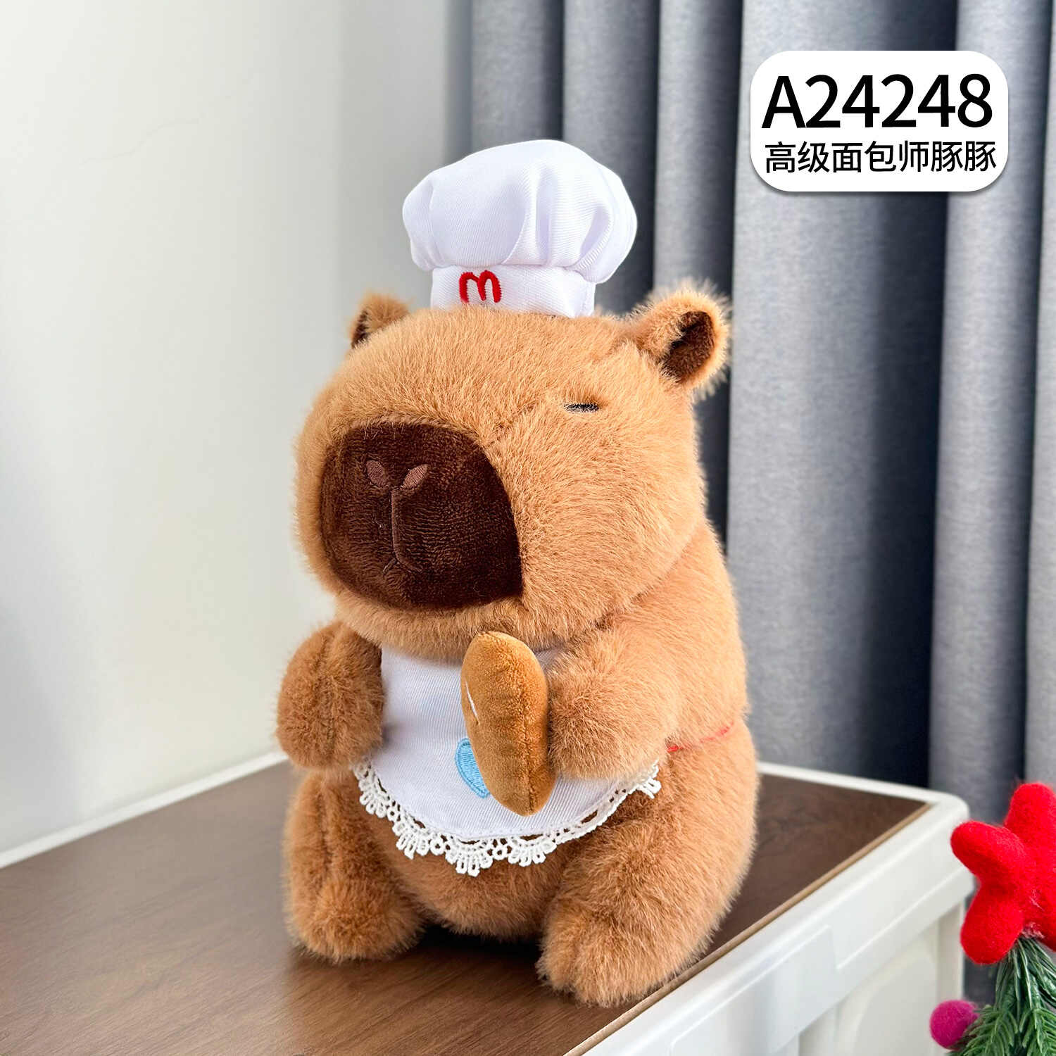 A24248
