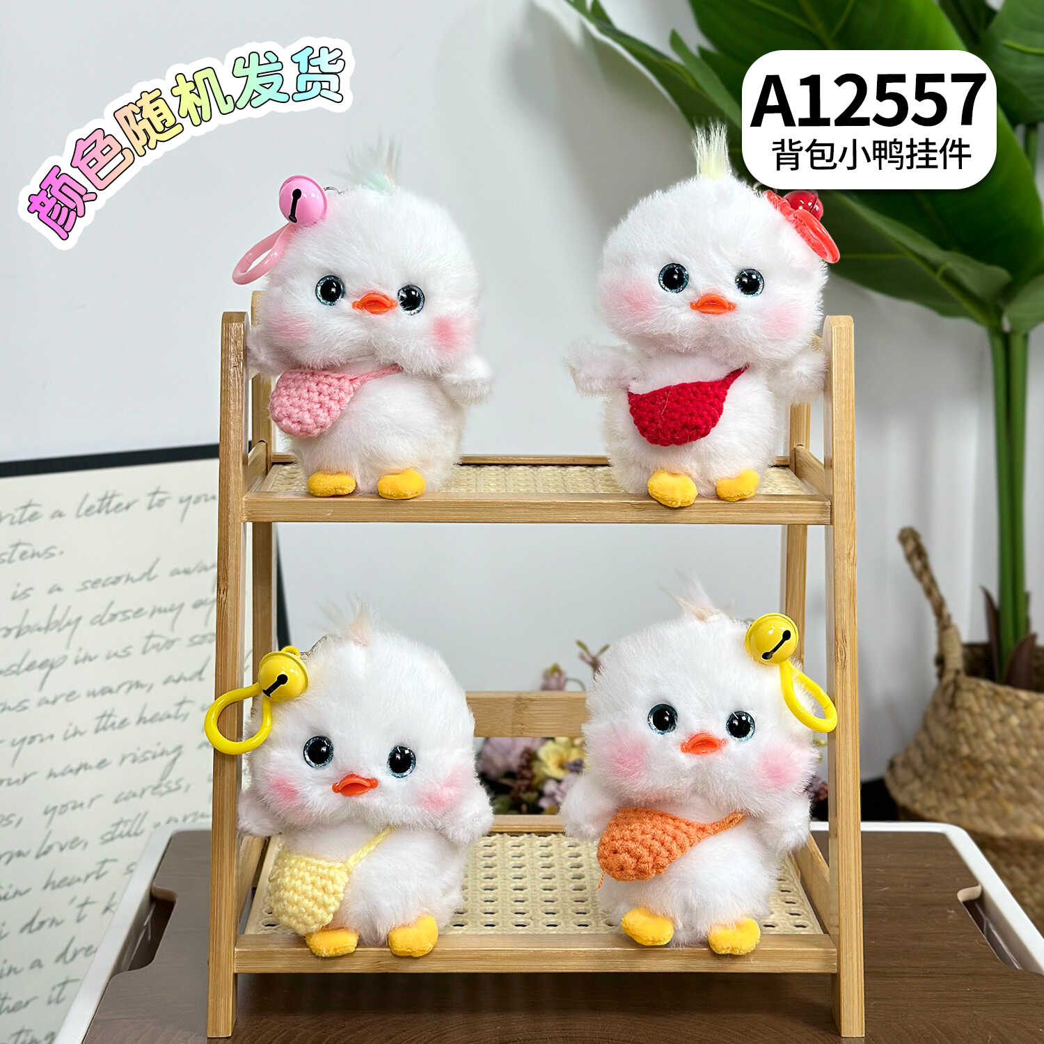 A12557