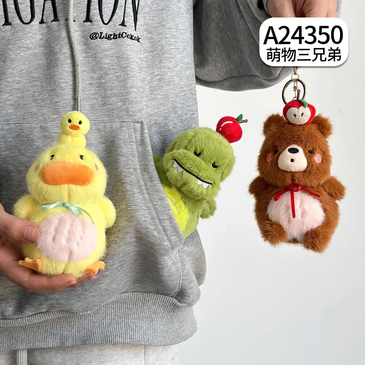 A24350