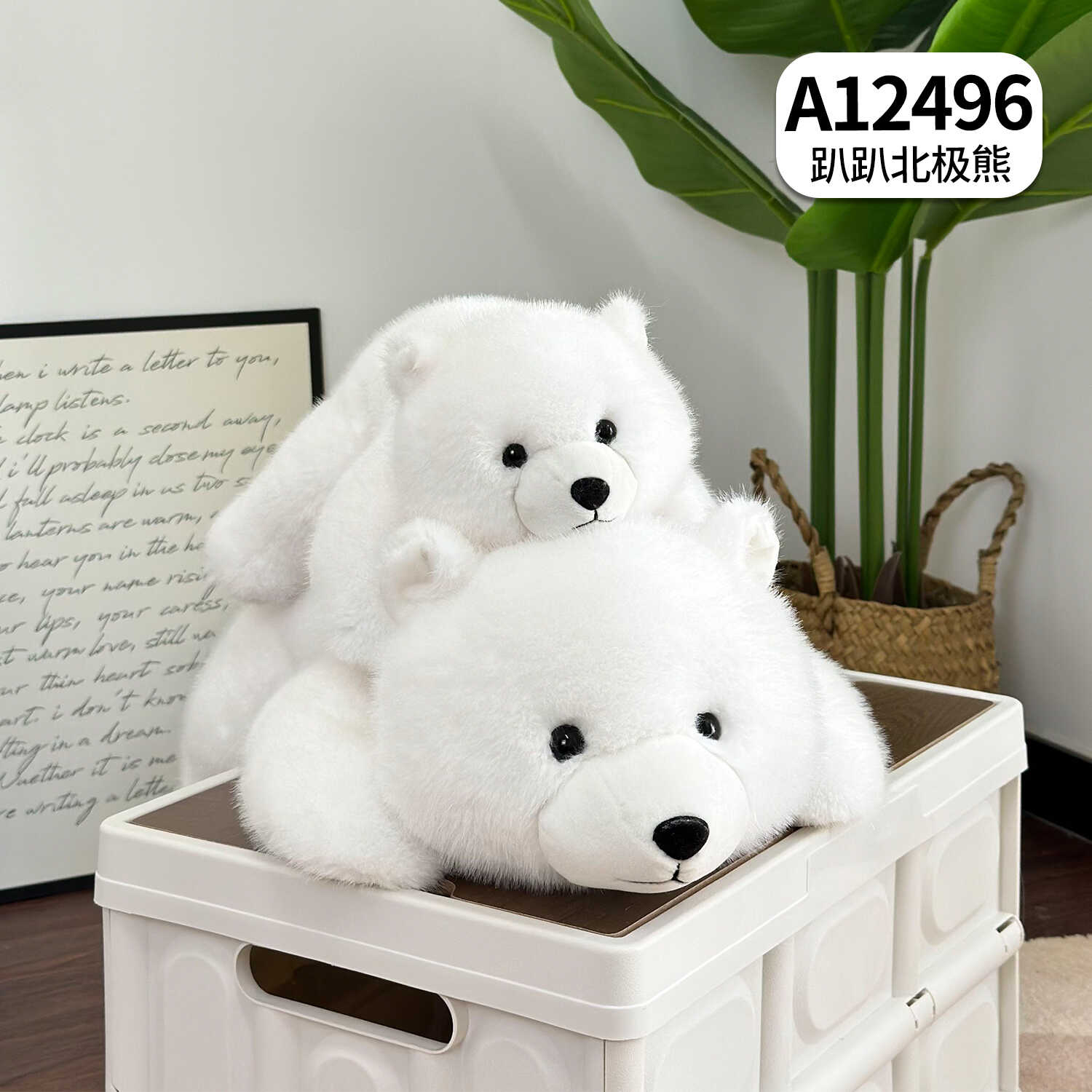 A12496