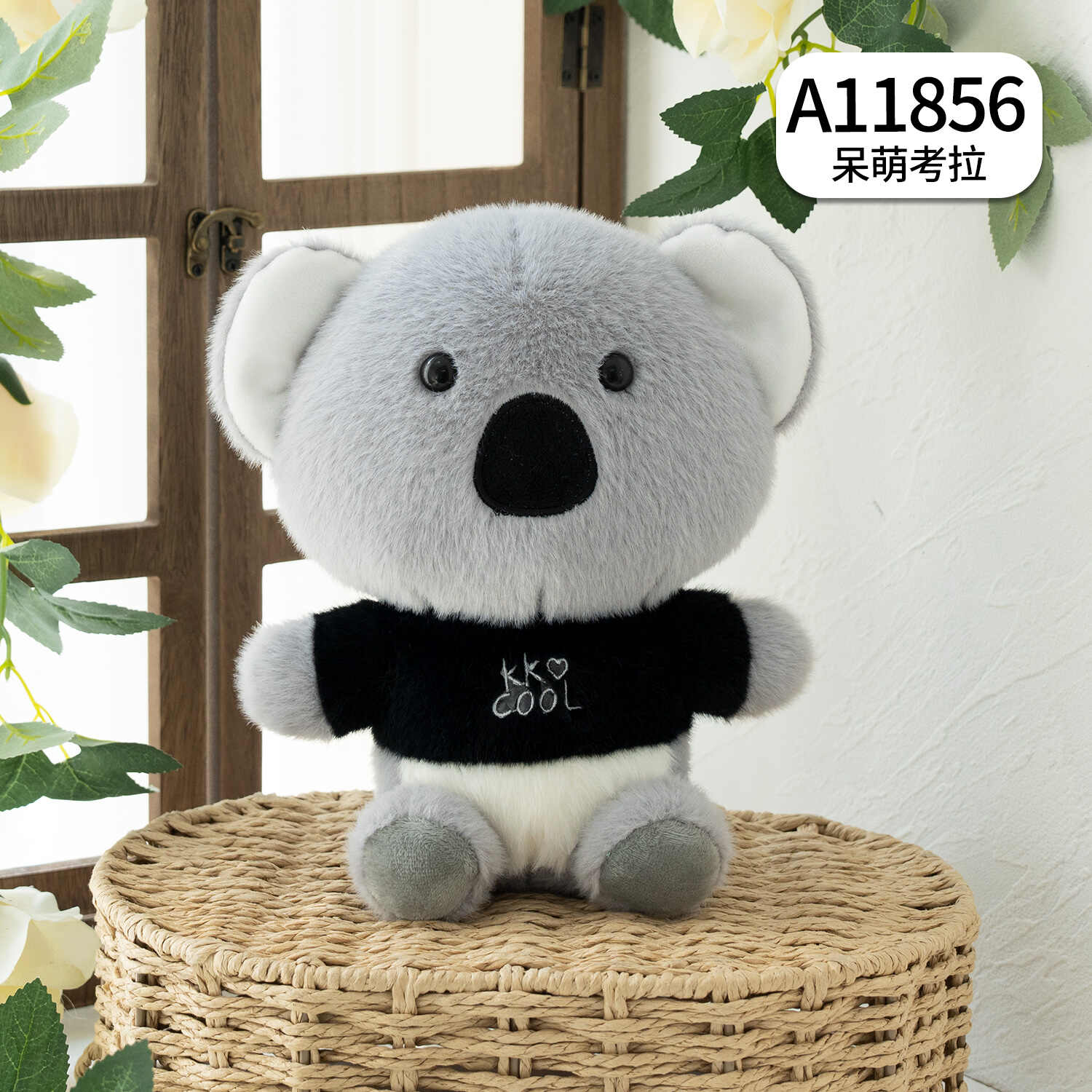 A11856
