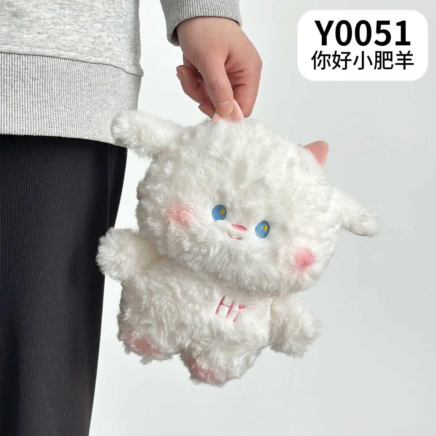 Y0051