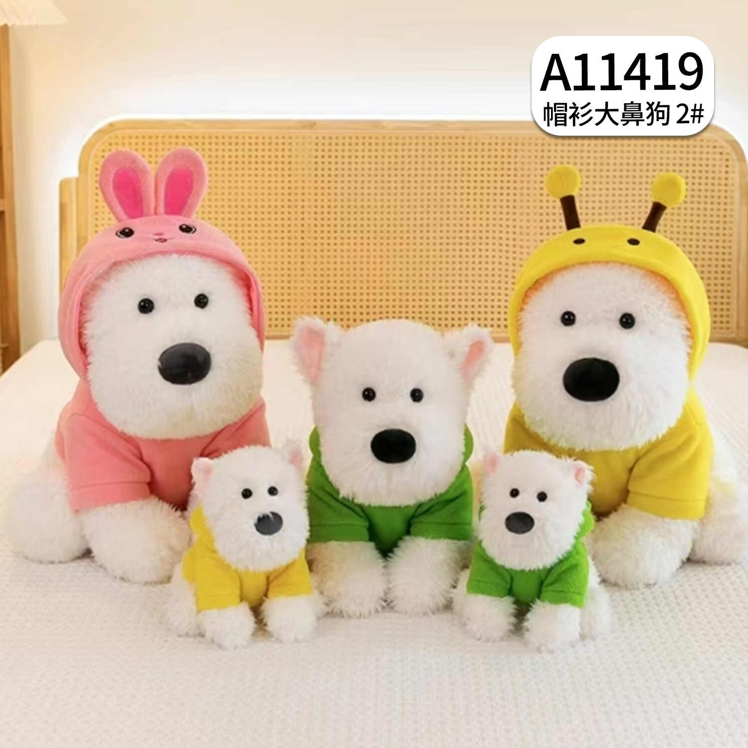 A11419