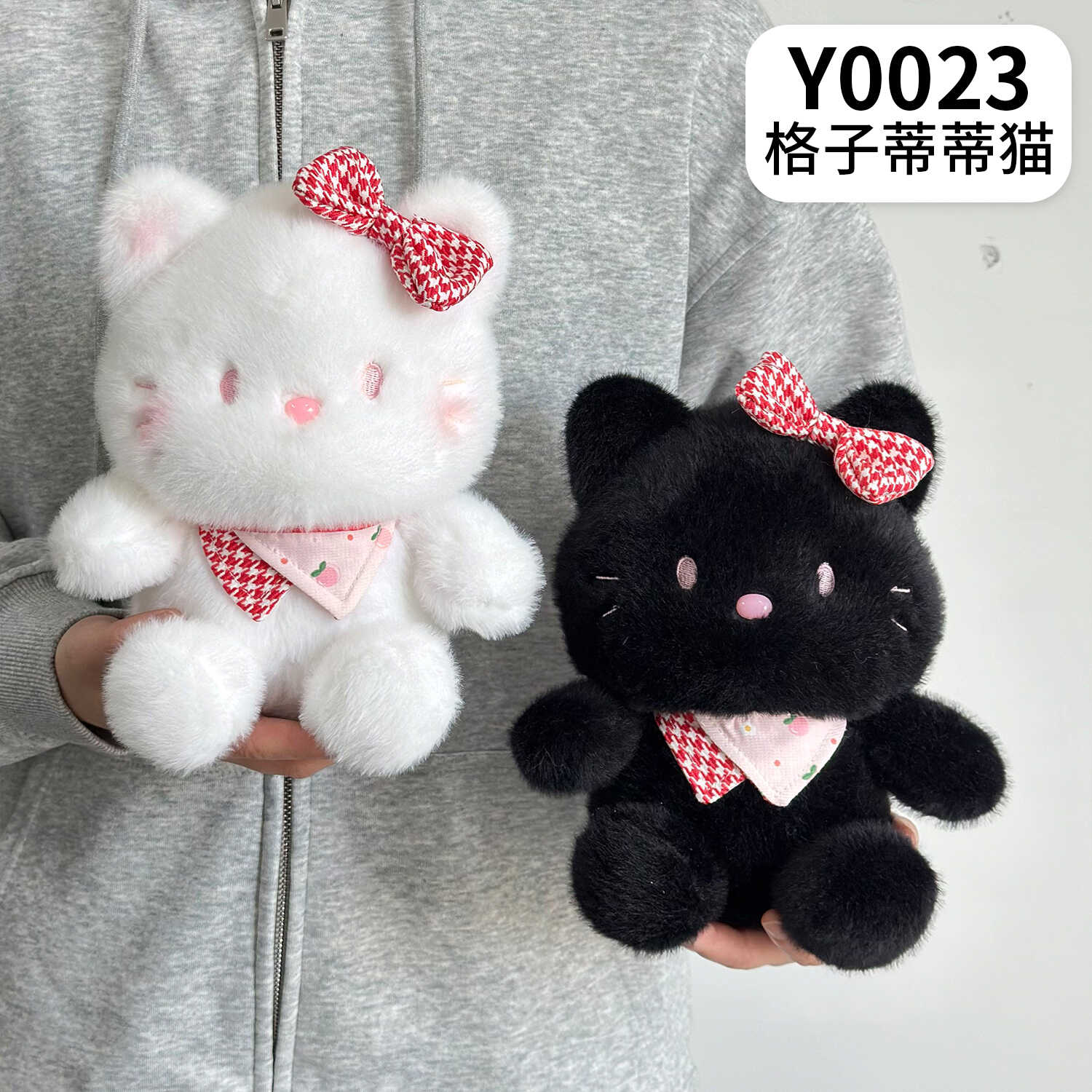 Y0023