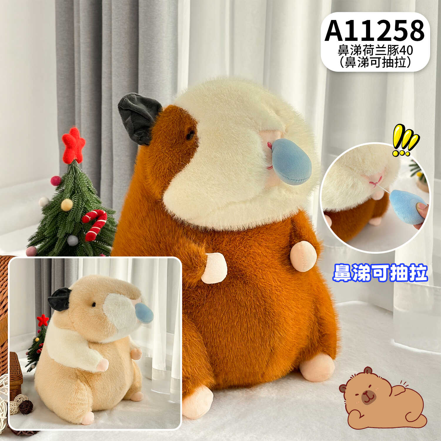 A11258