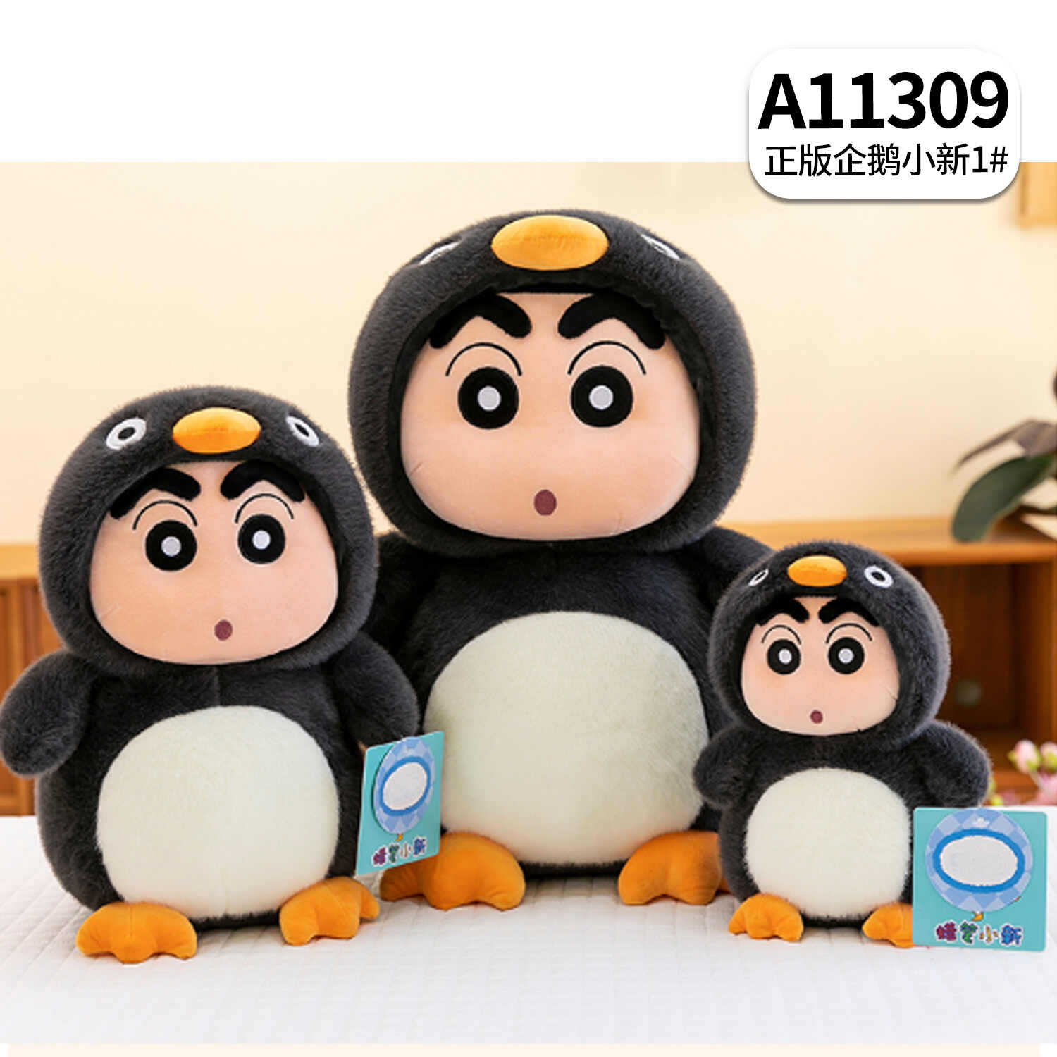A11309