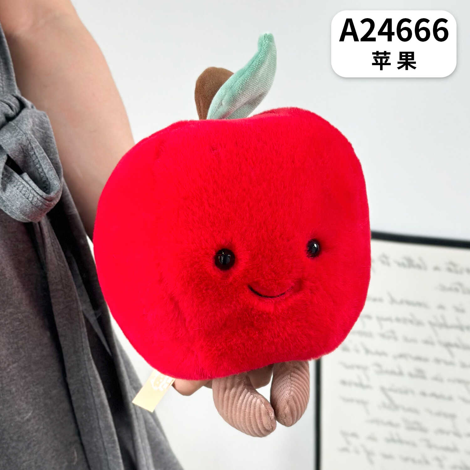A24666