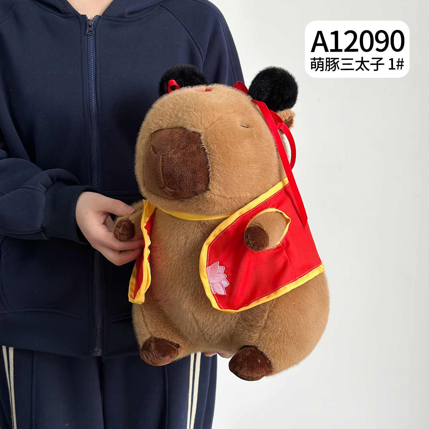 A12090