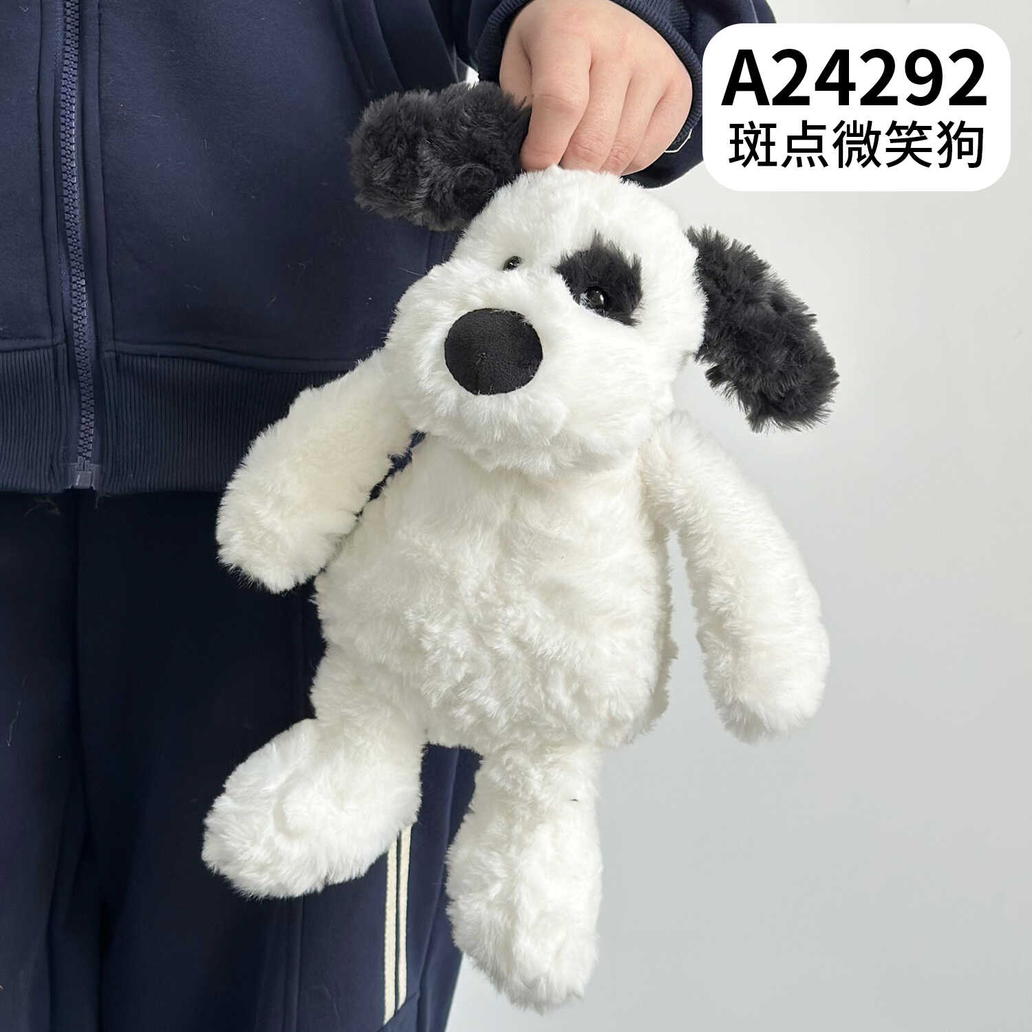 A24292