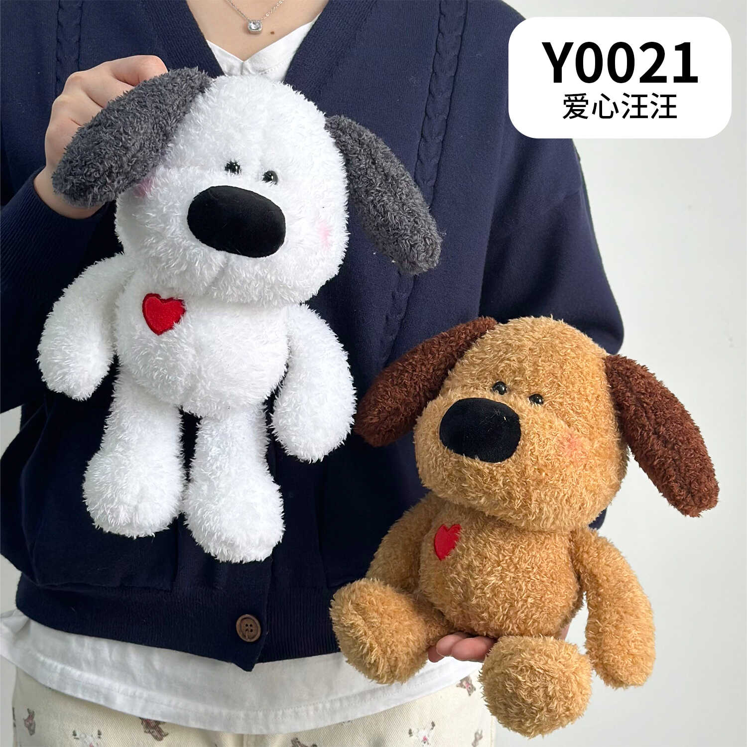 Y0021