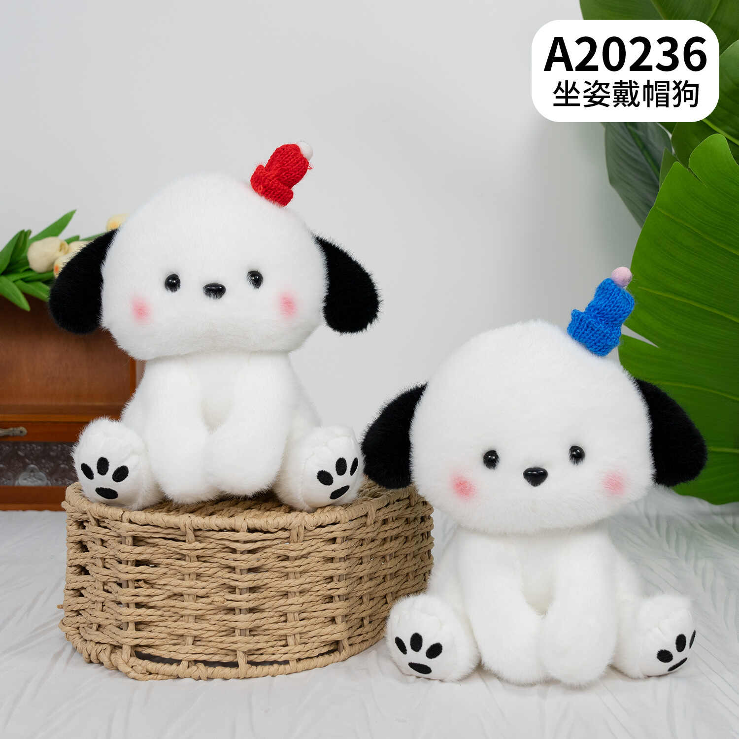 A20236