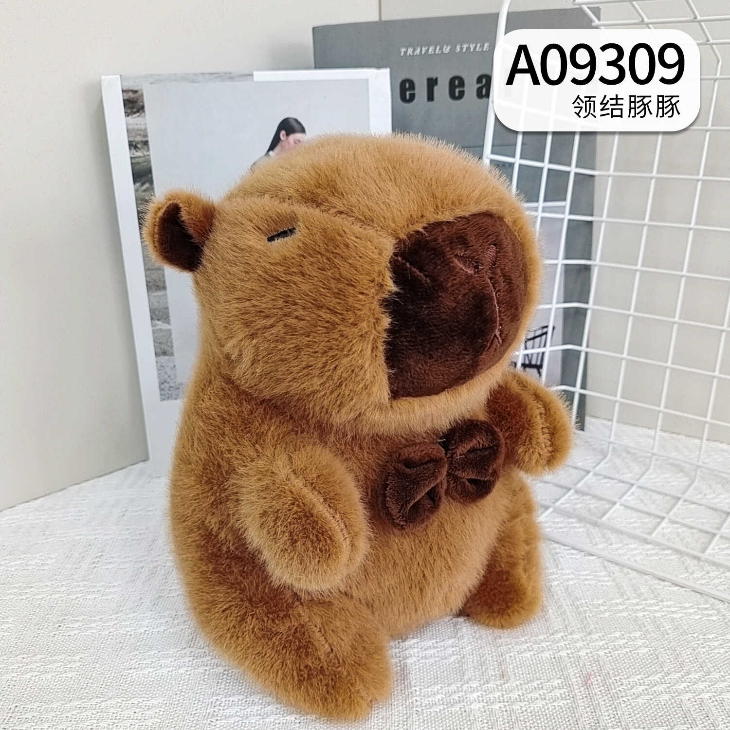 A09309