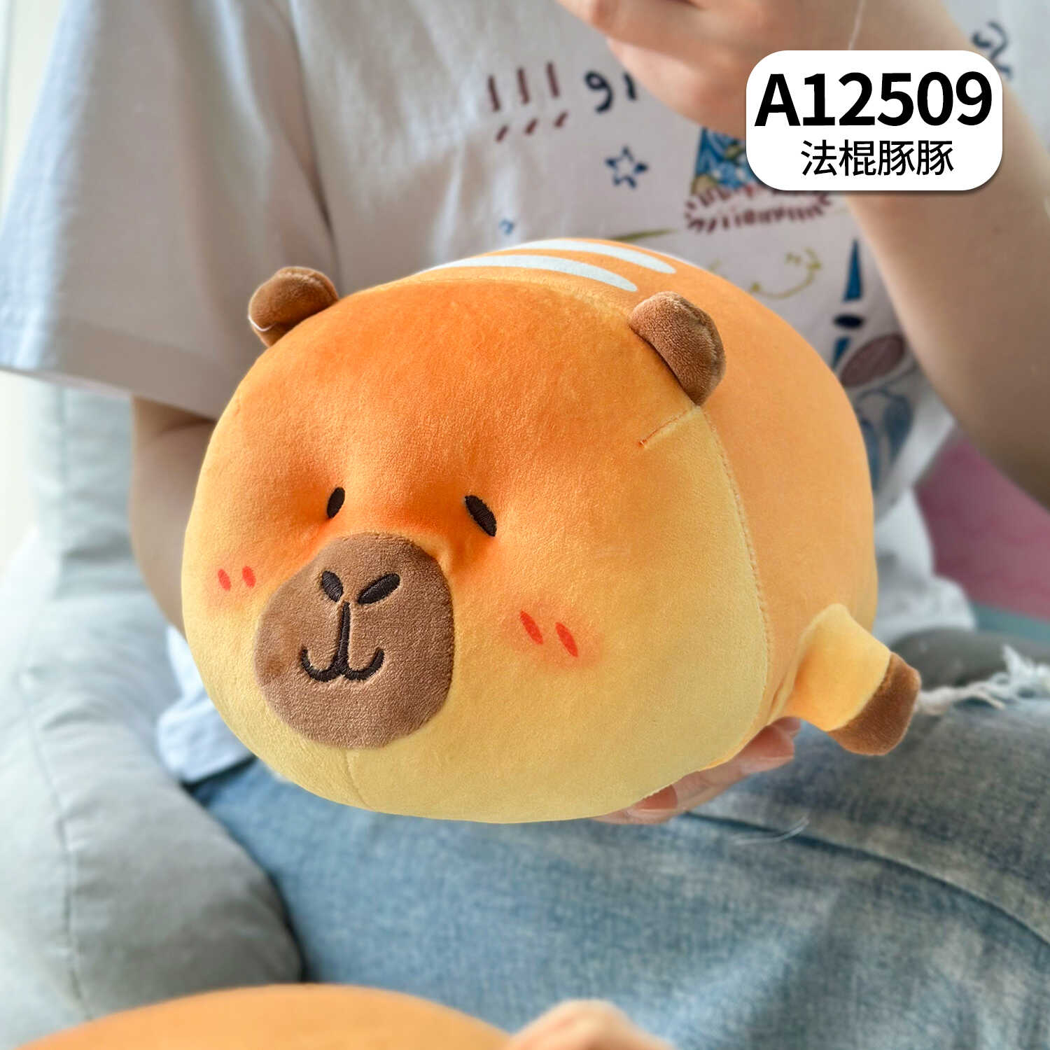 A12509