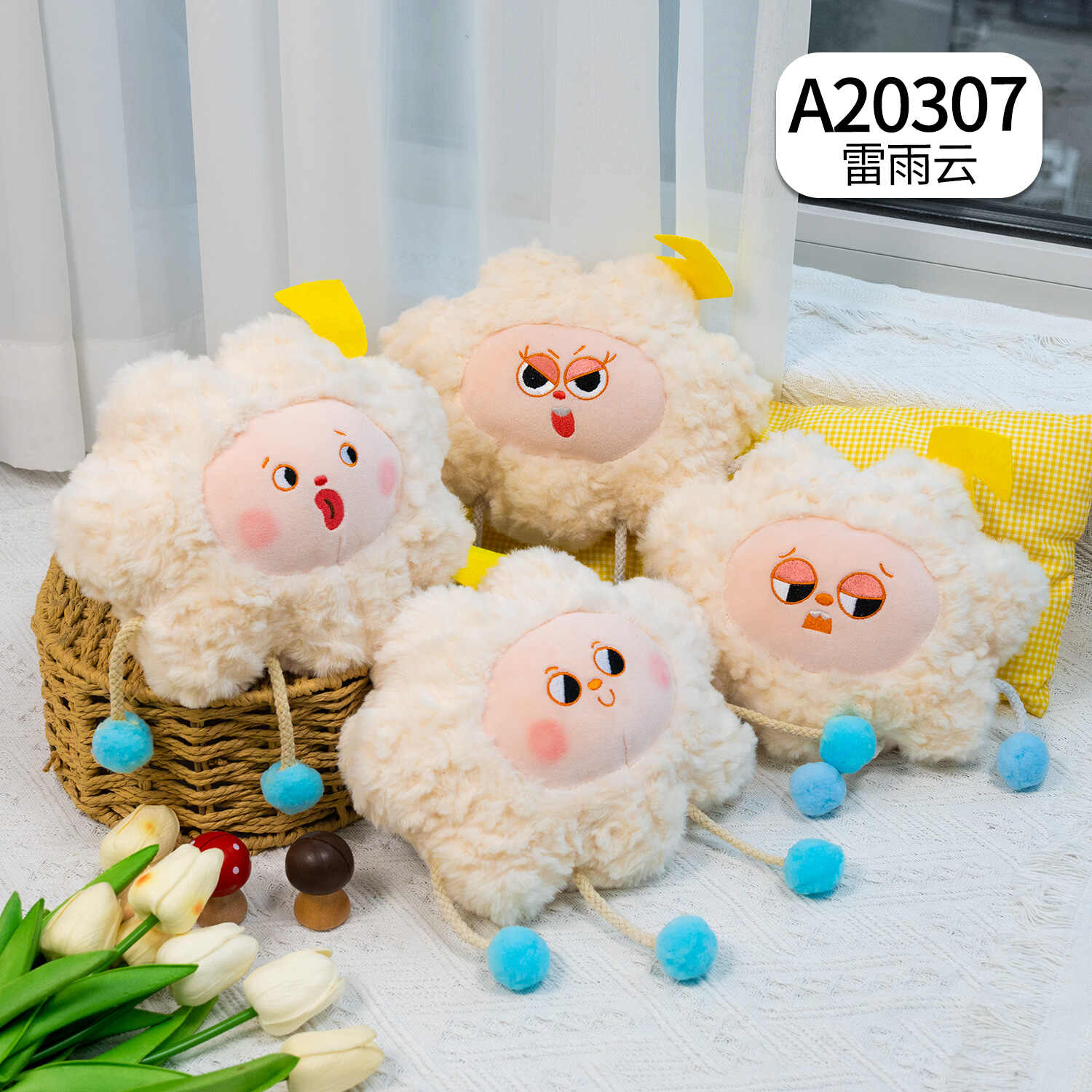 A20307