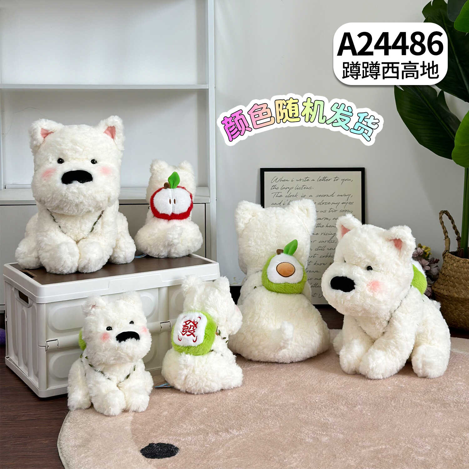 A24486