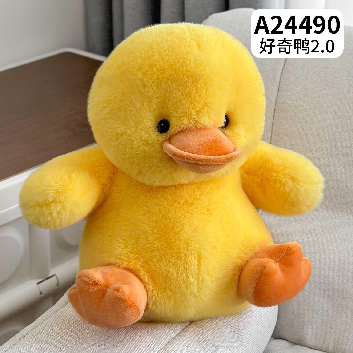 A24490