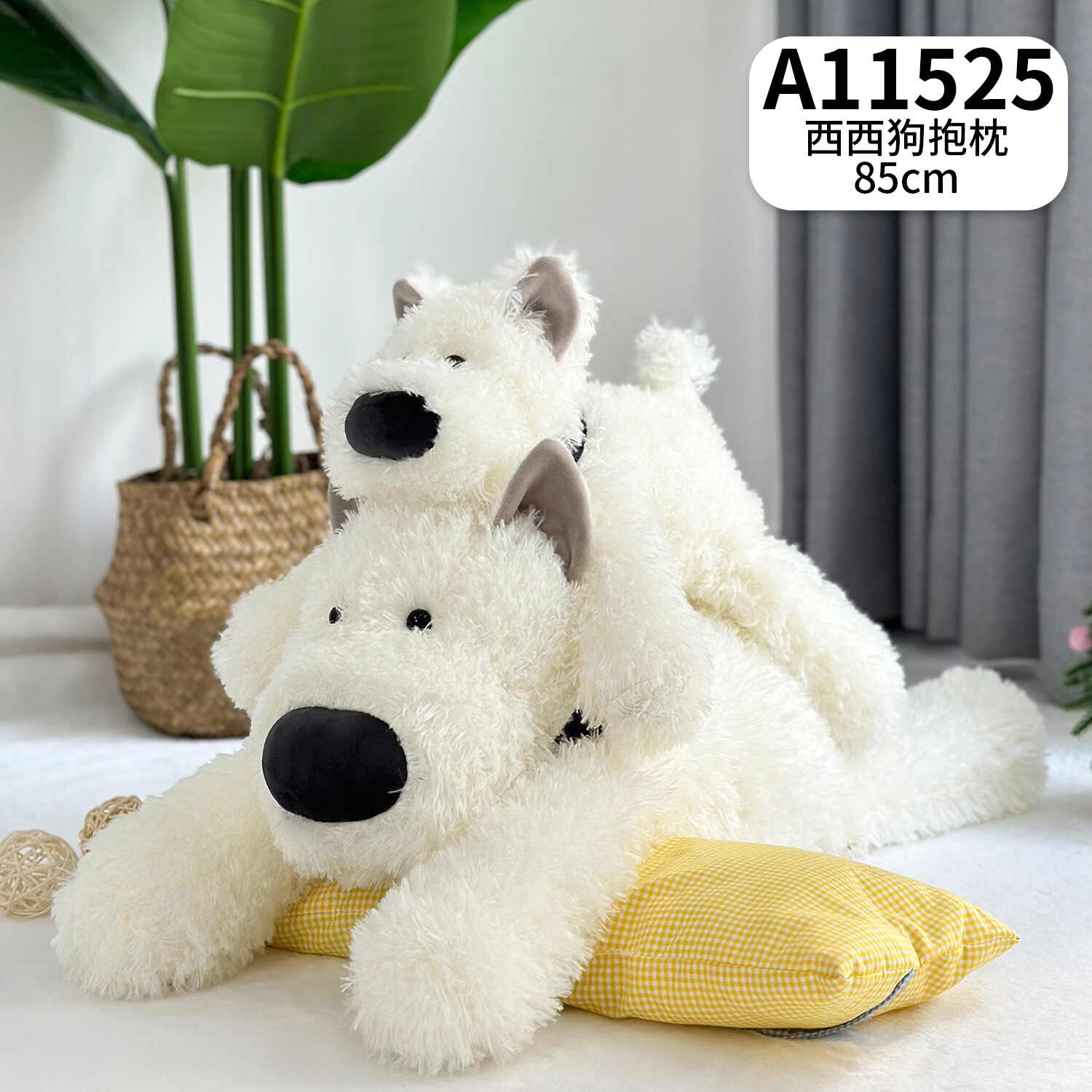 A11525