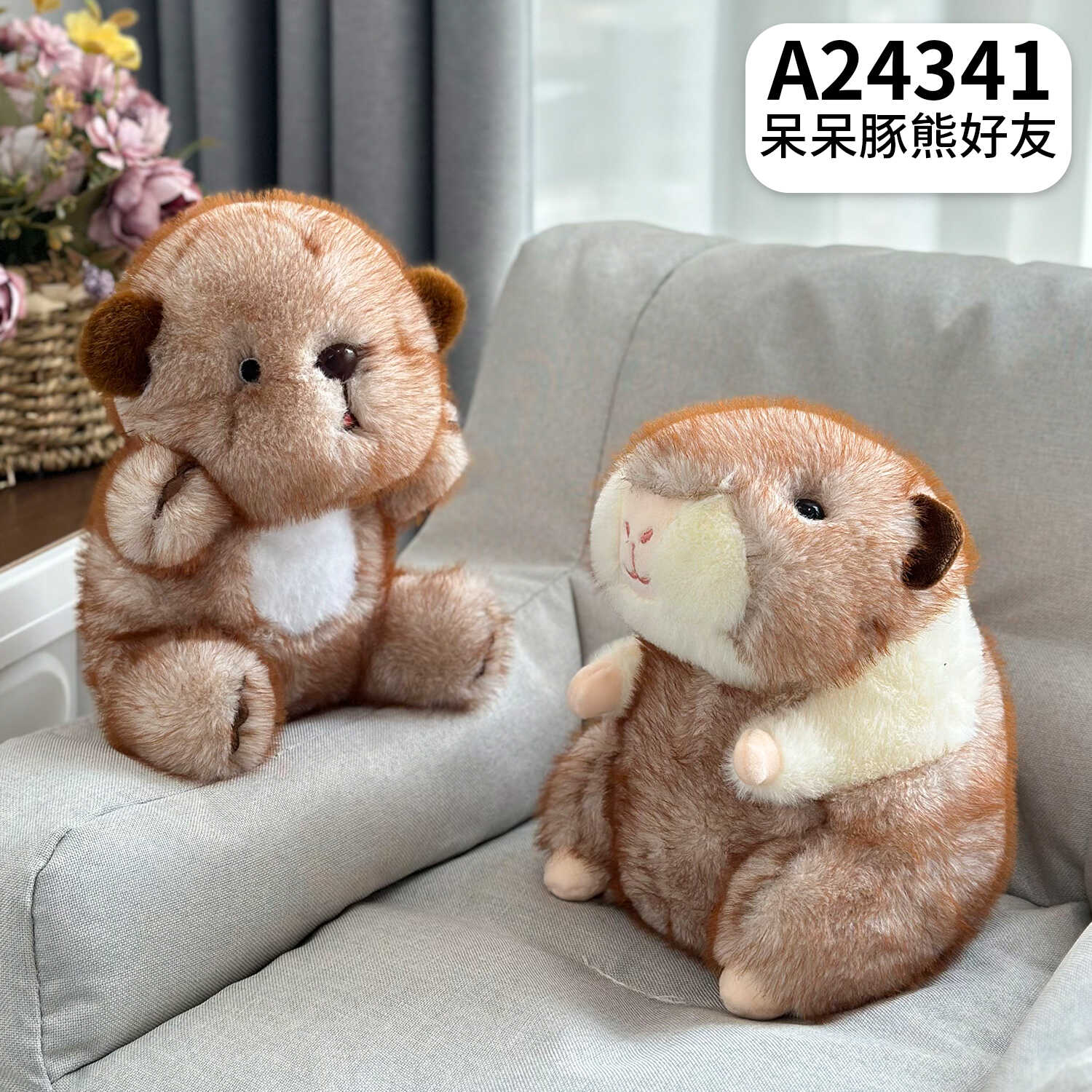 A24341
