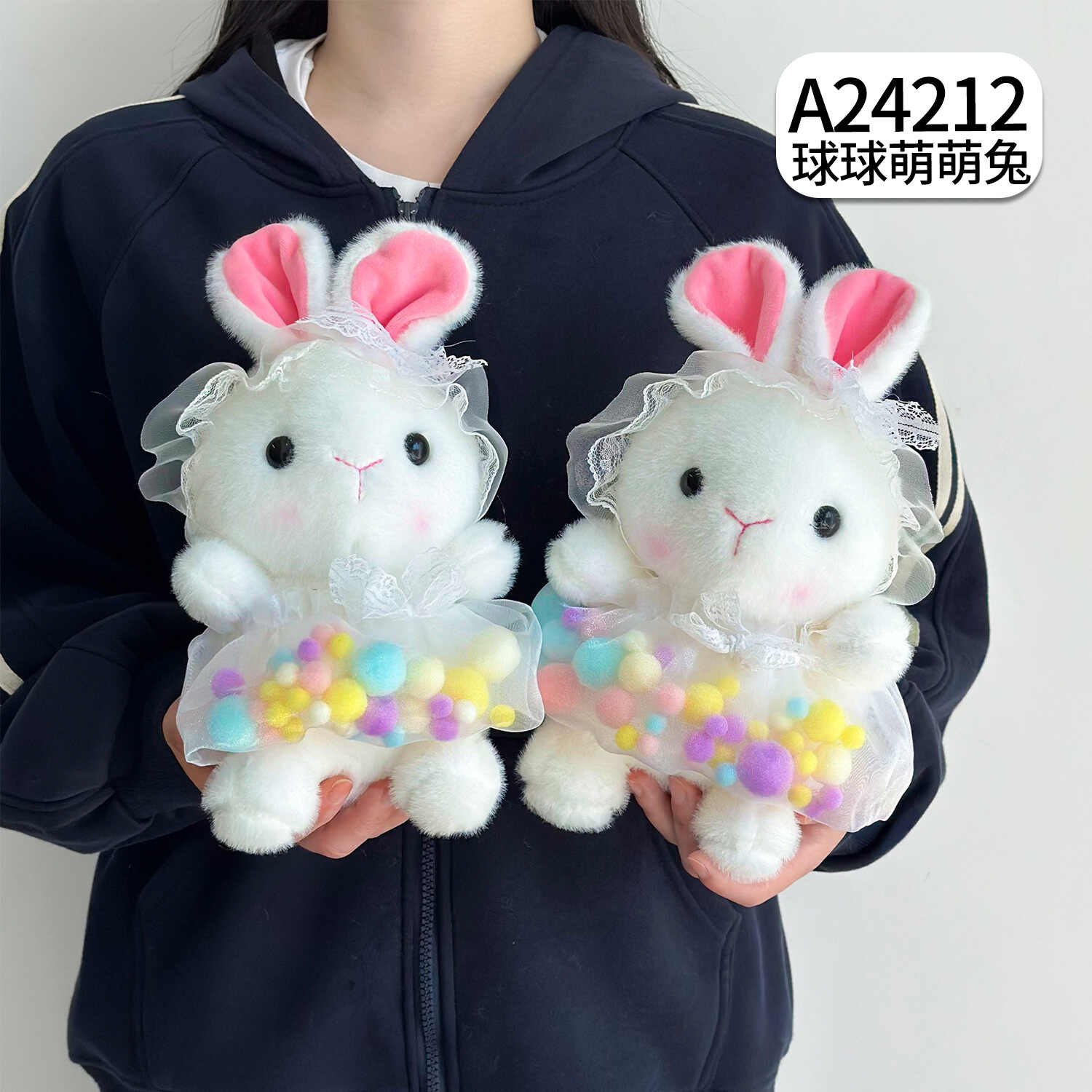A24212