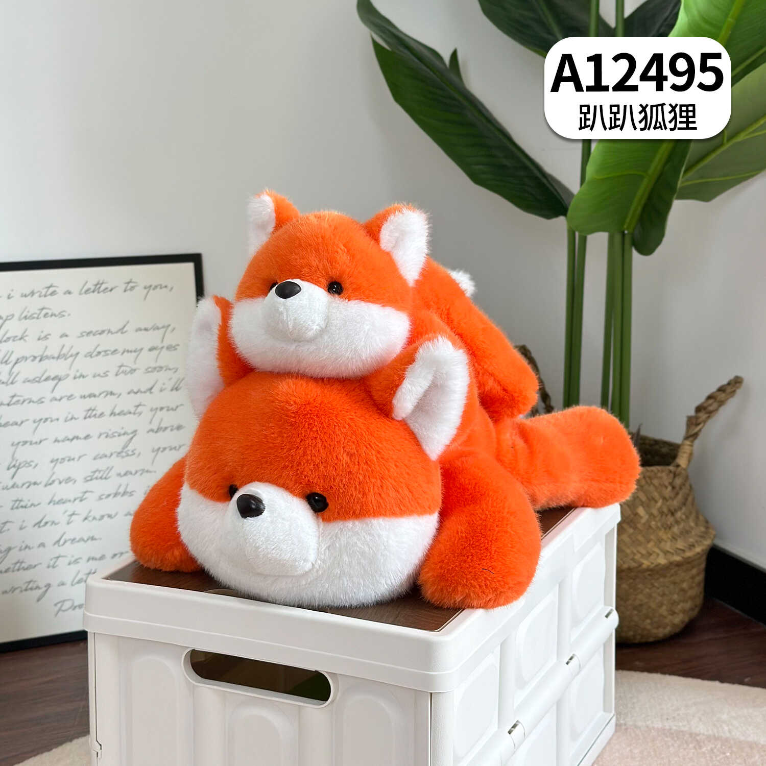 A12495