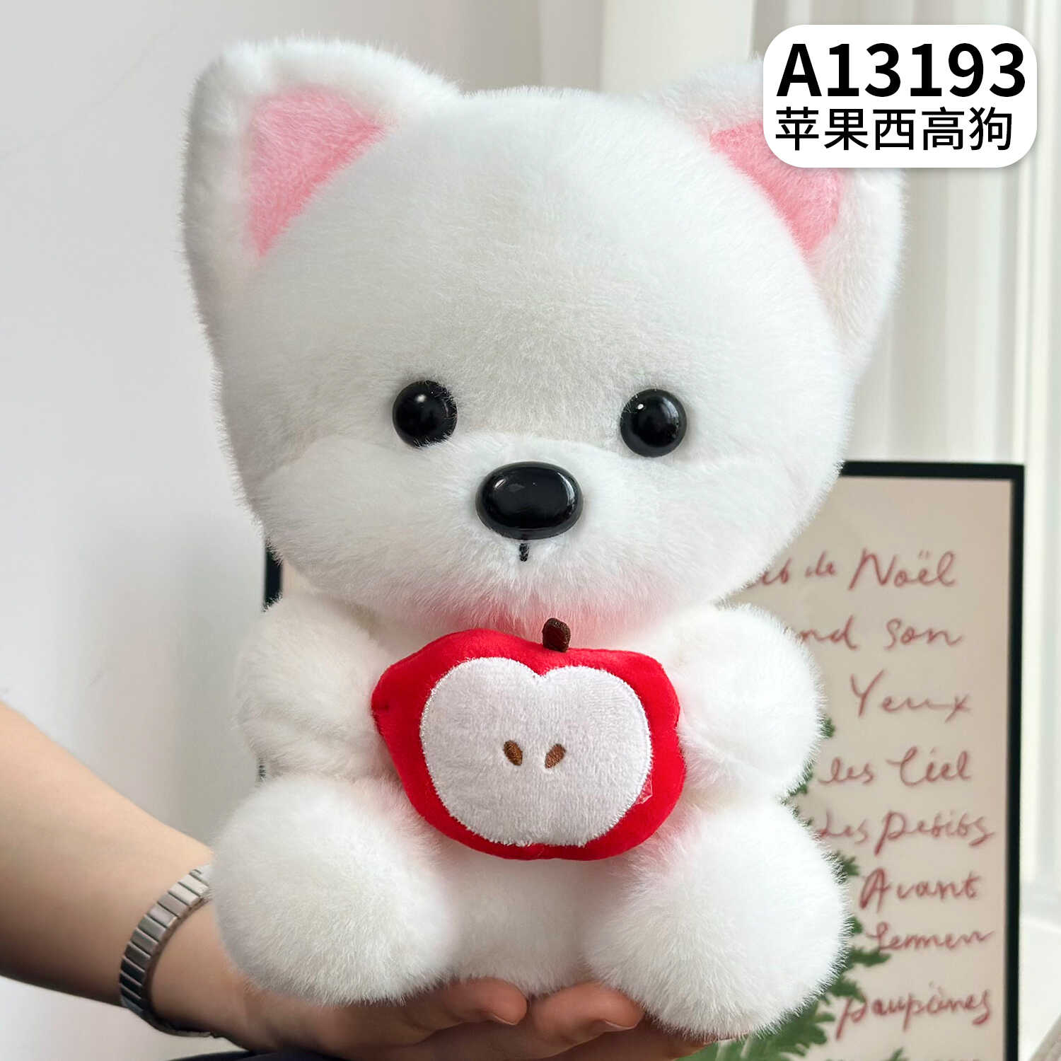 A13193