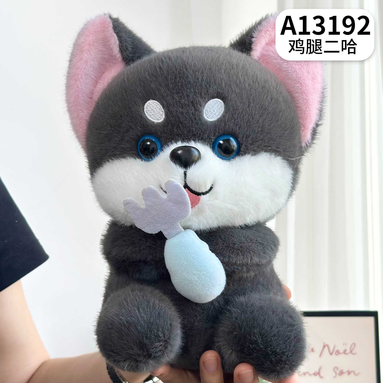 A13192