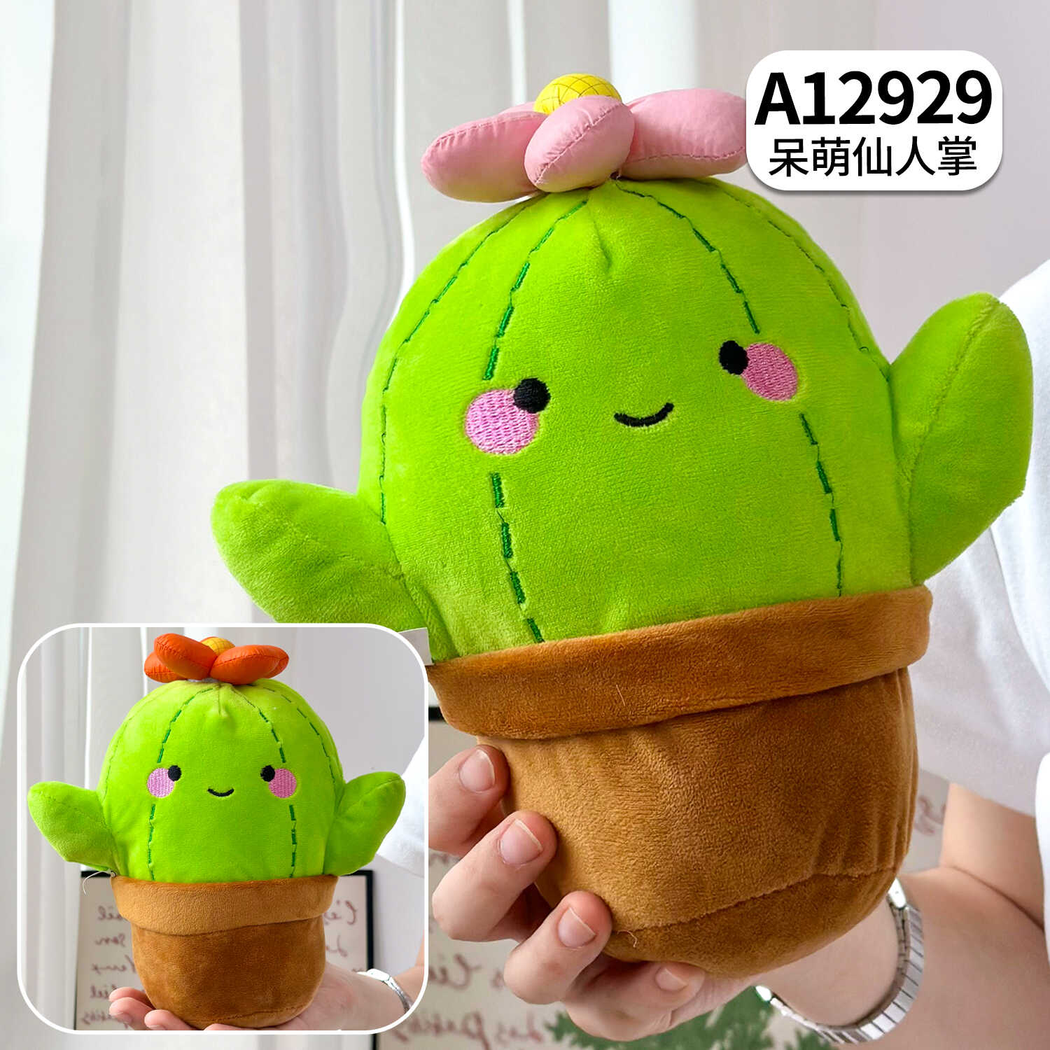 A12929