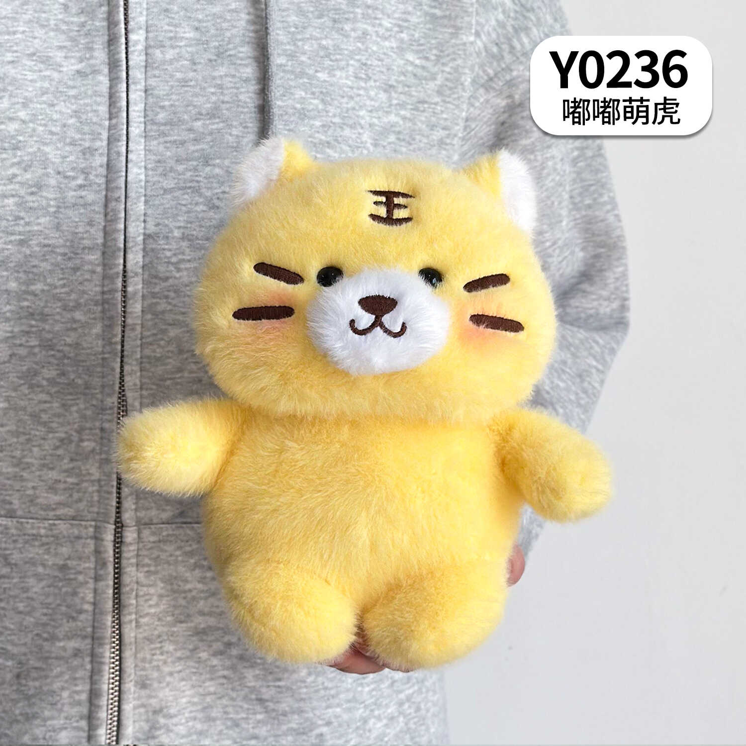 Y0236
