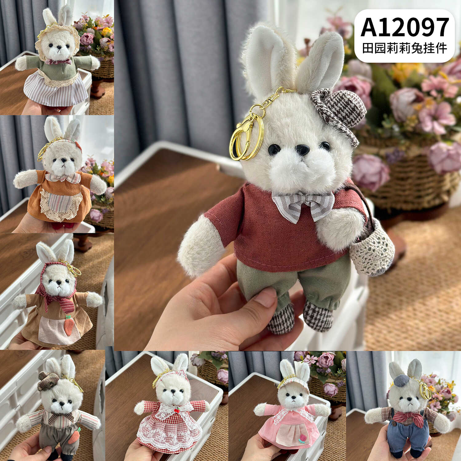 A12097