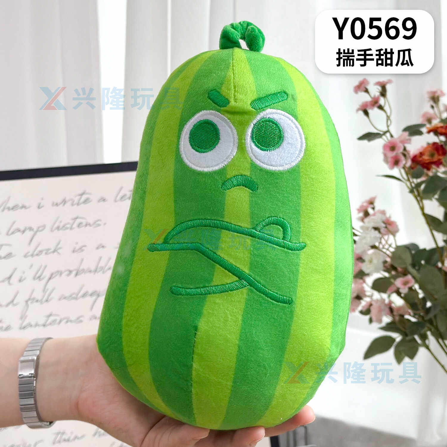 Y0569