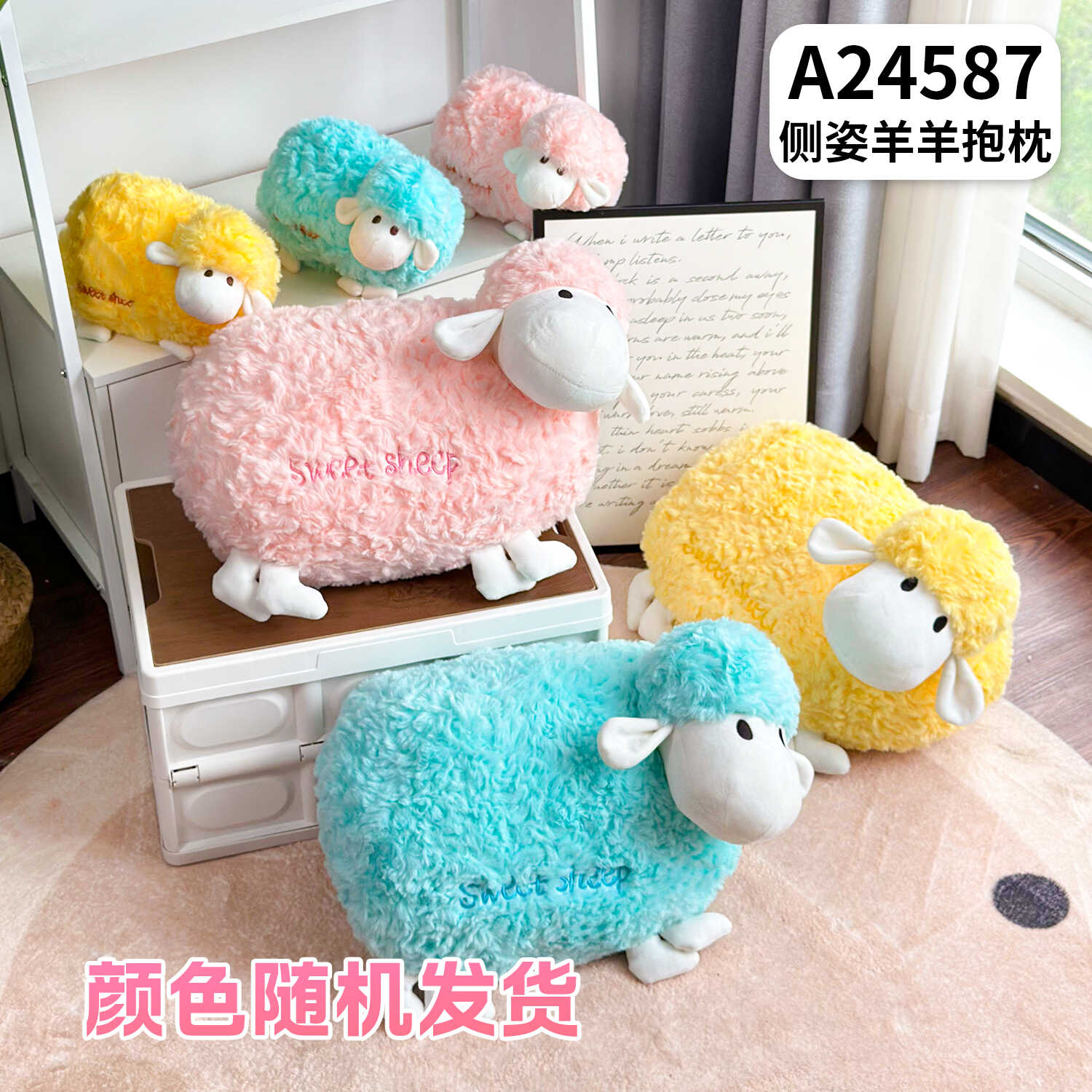 A24587