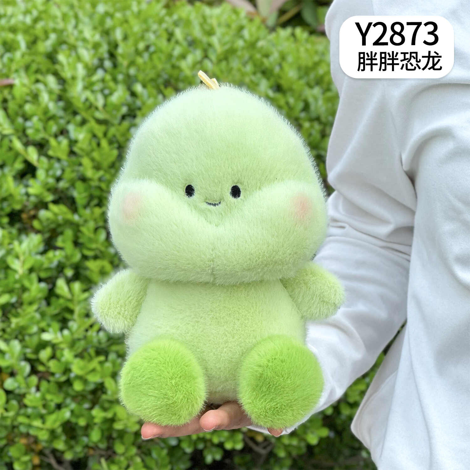 Y2873
