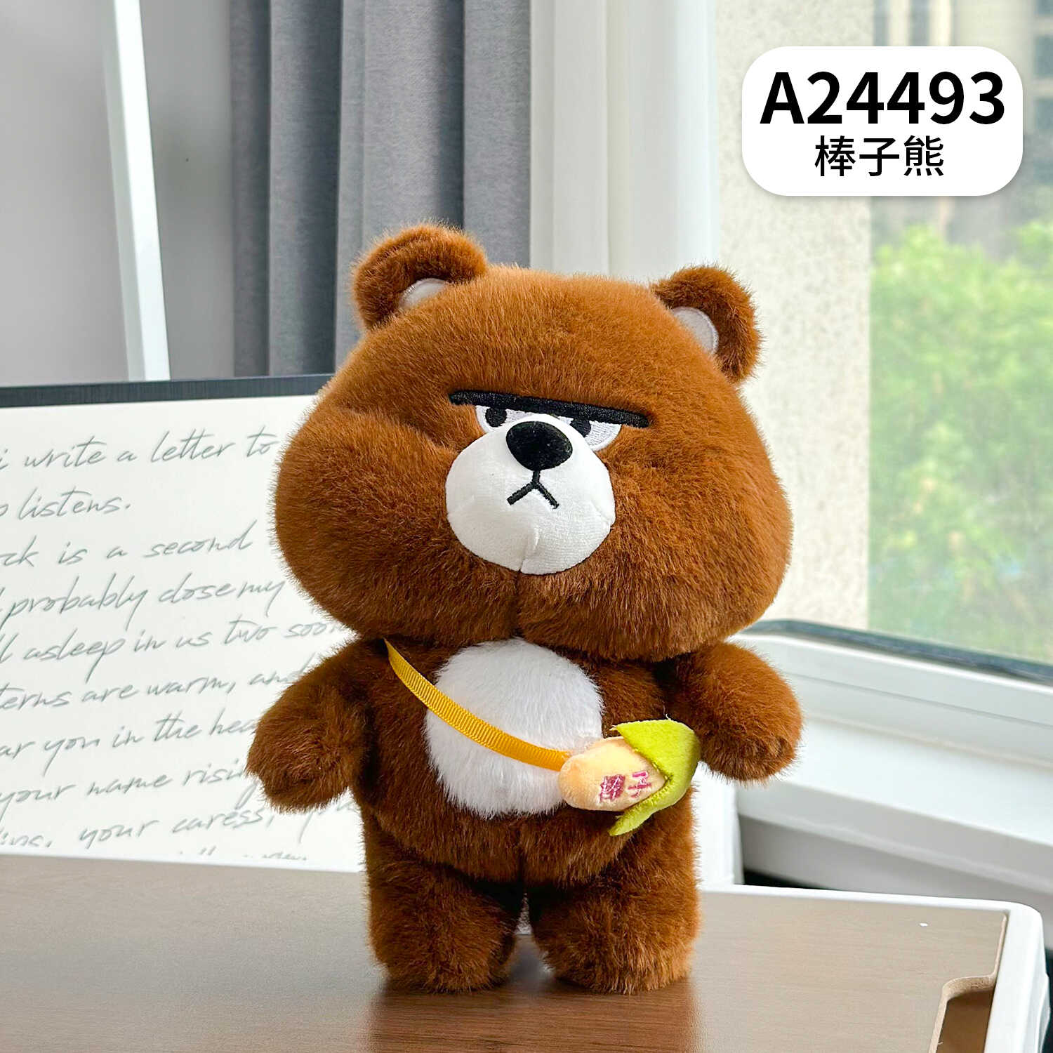 A24493