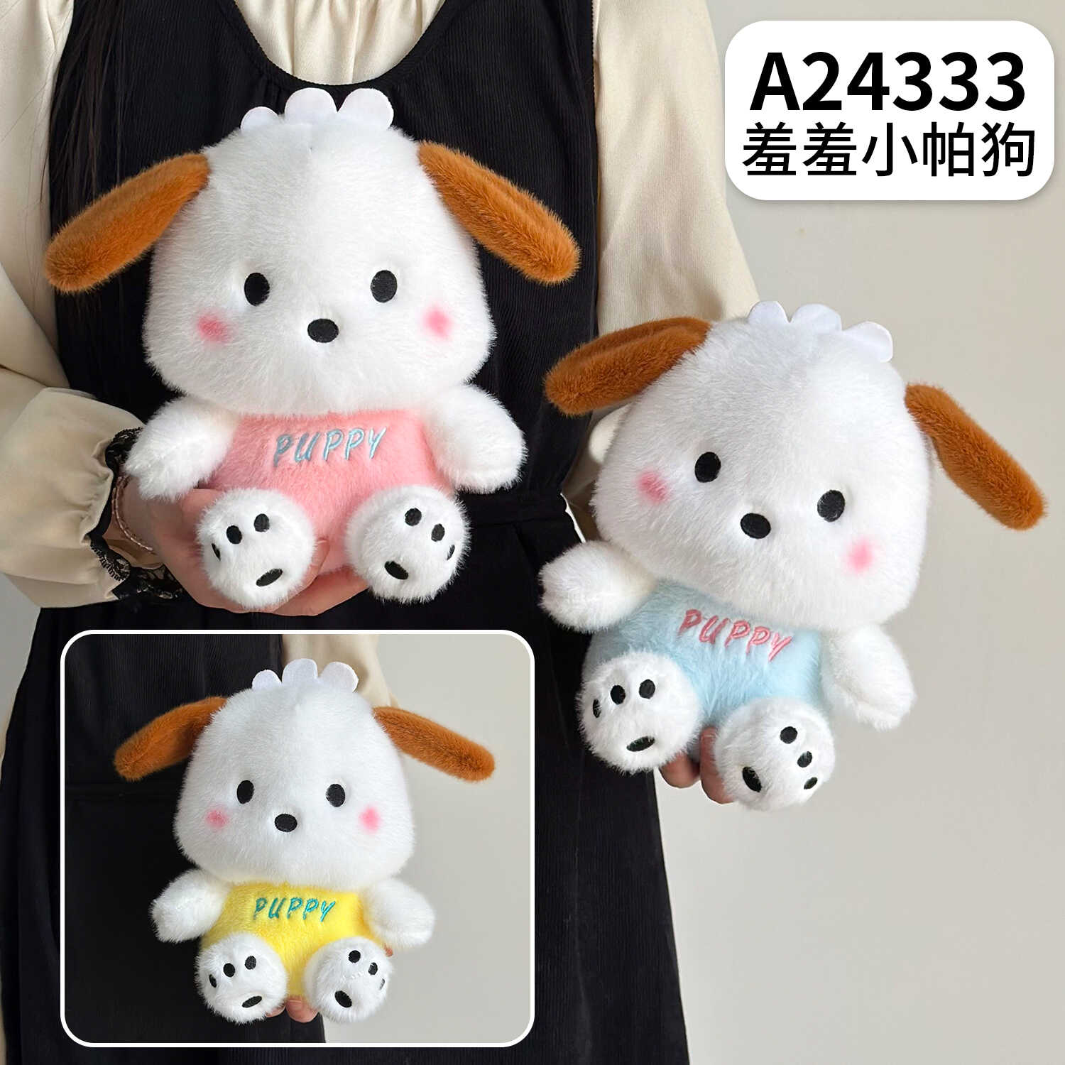 A24333