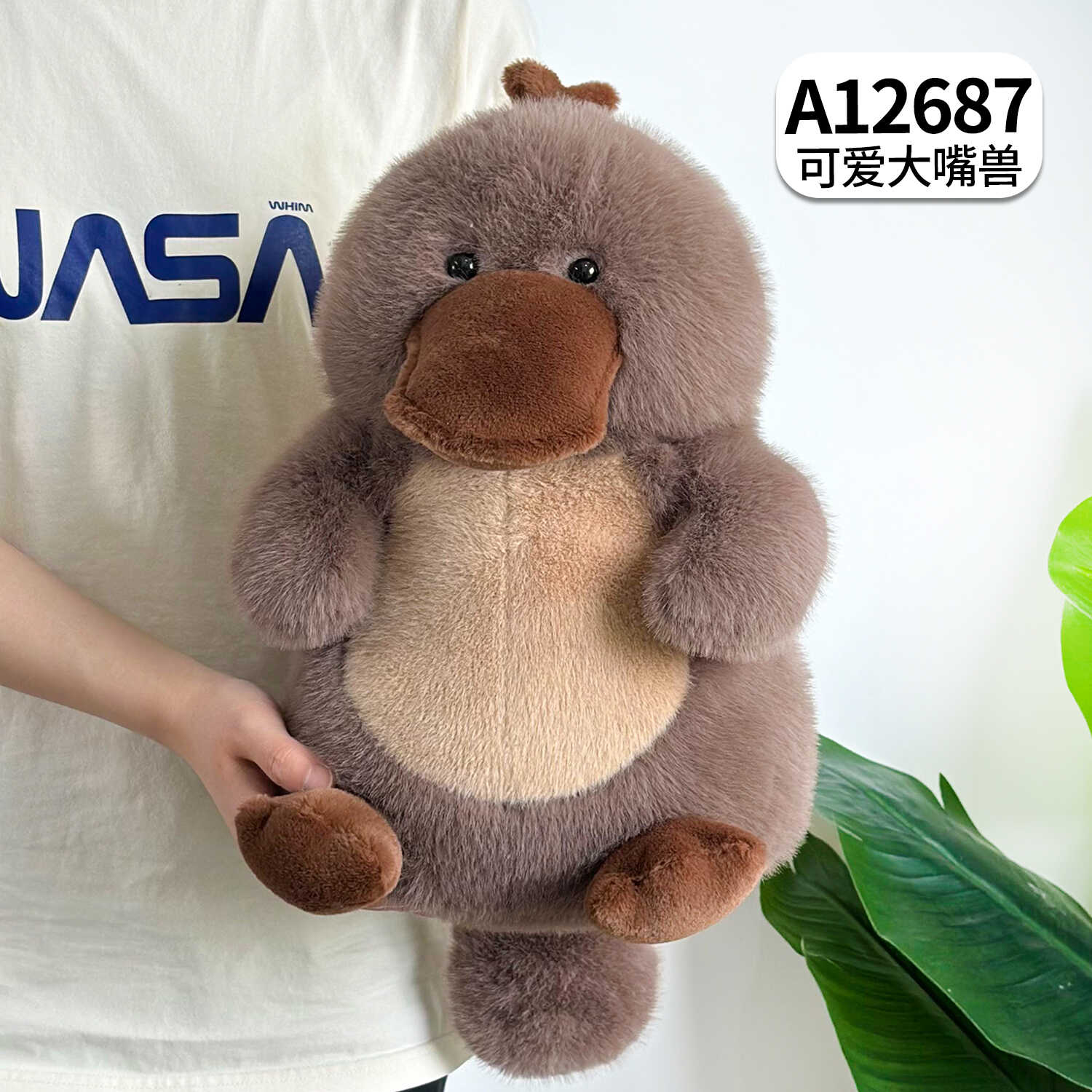 A12687