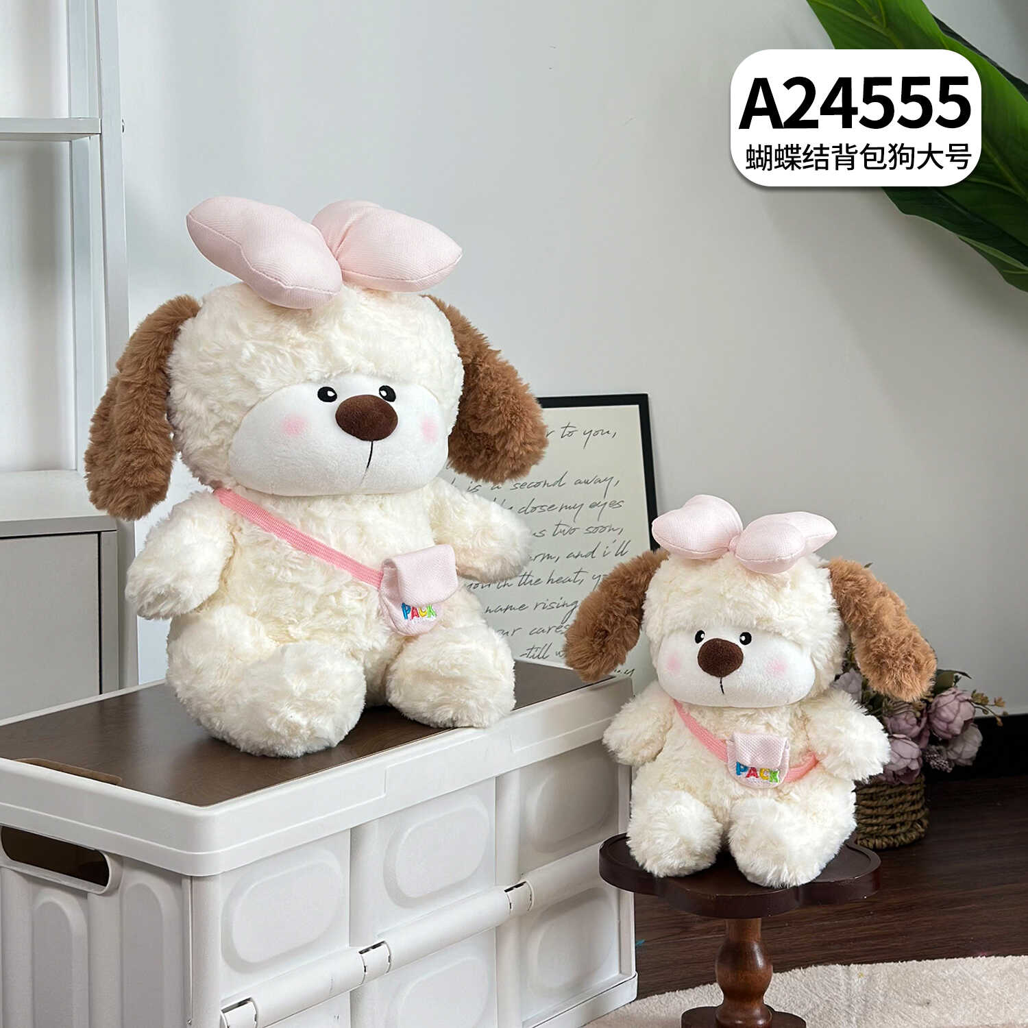 A24555