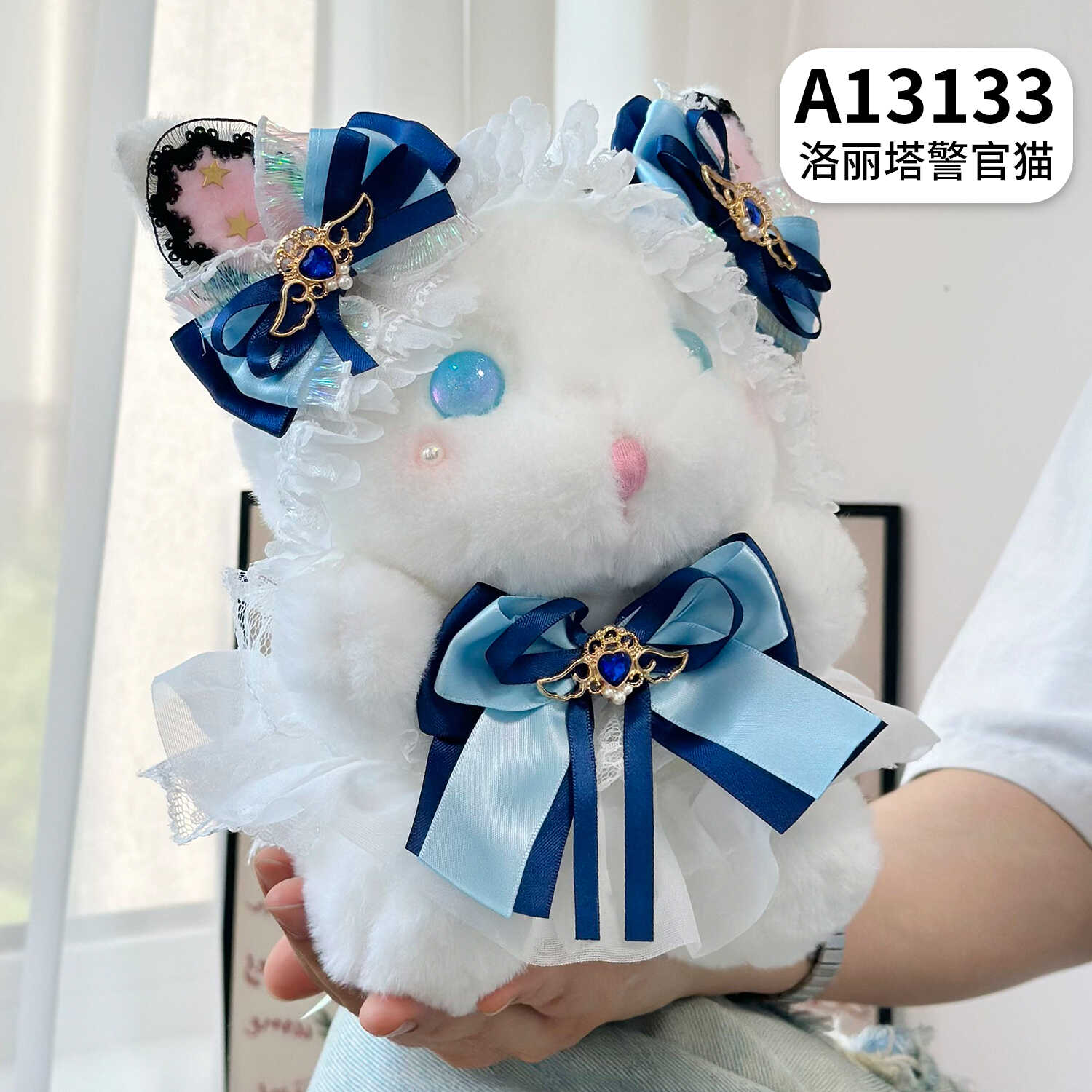 A13133