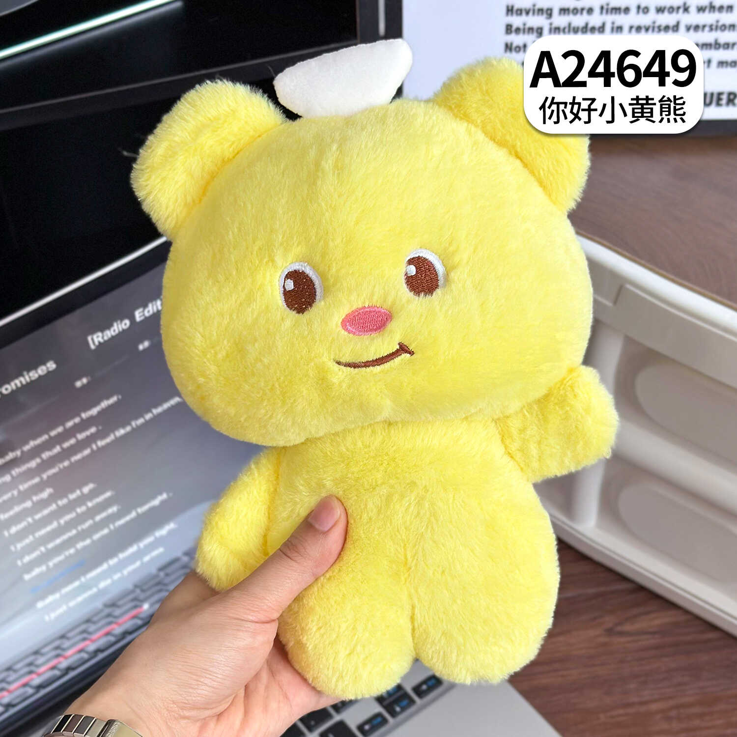 A24649