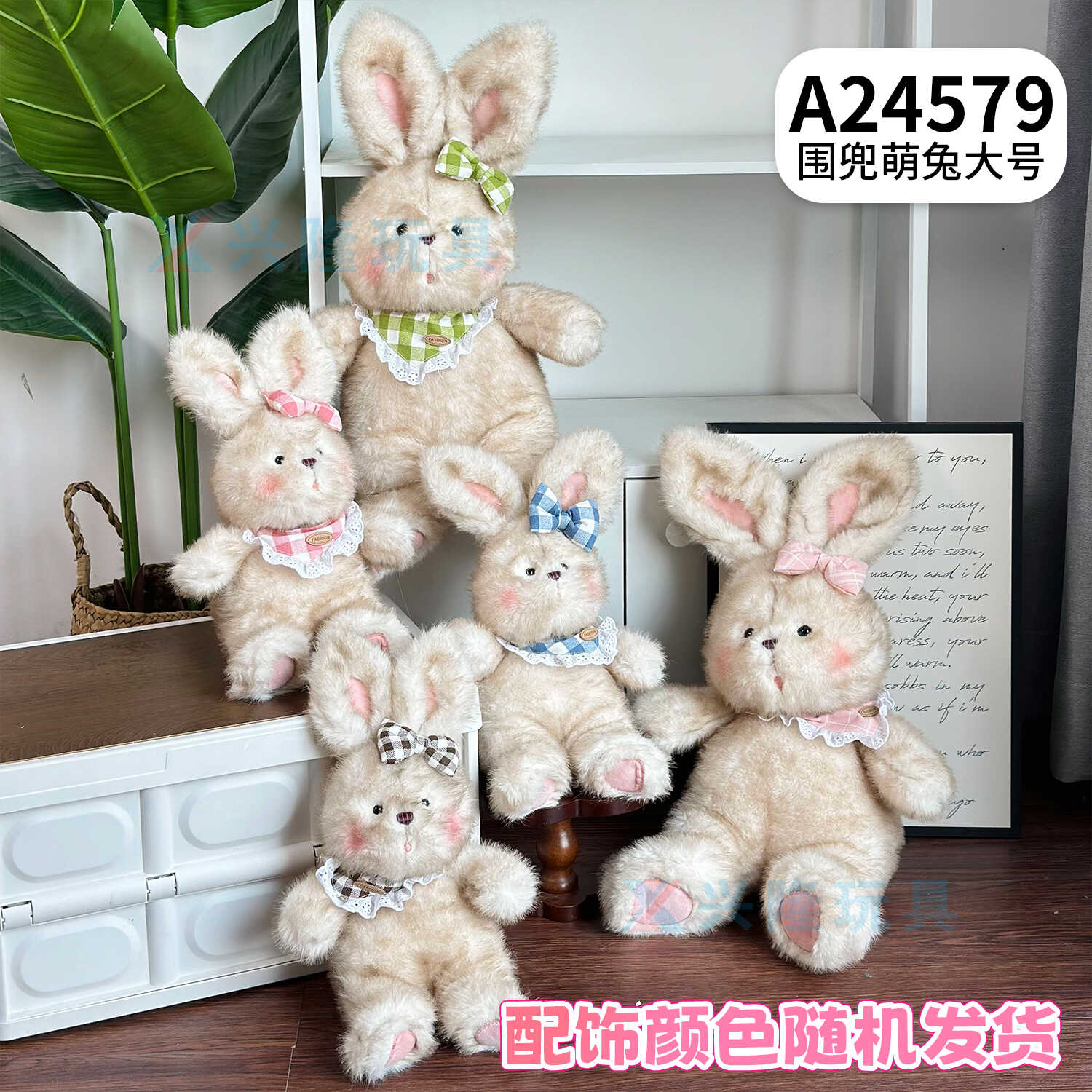 A24579