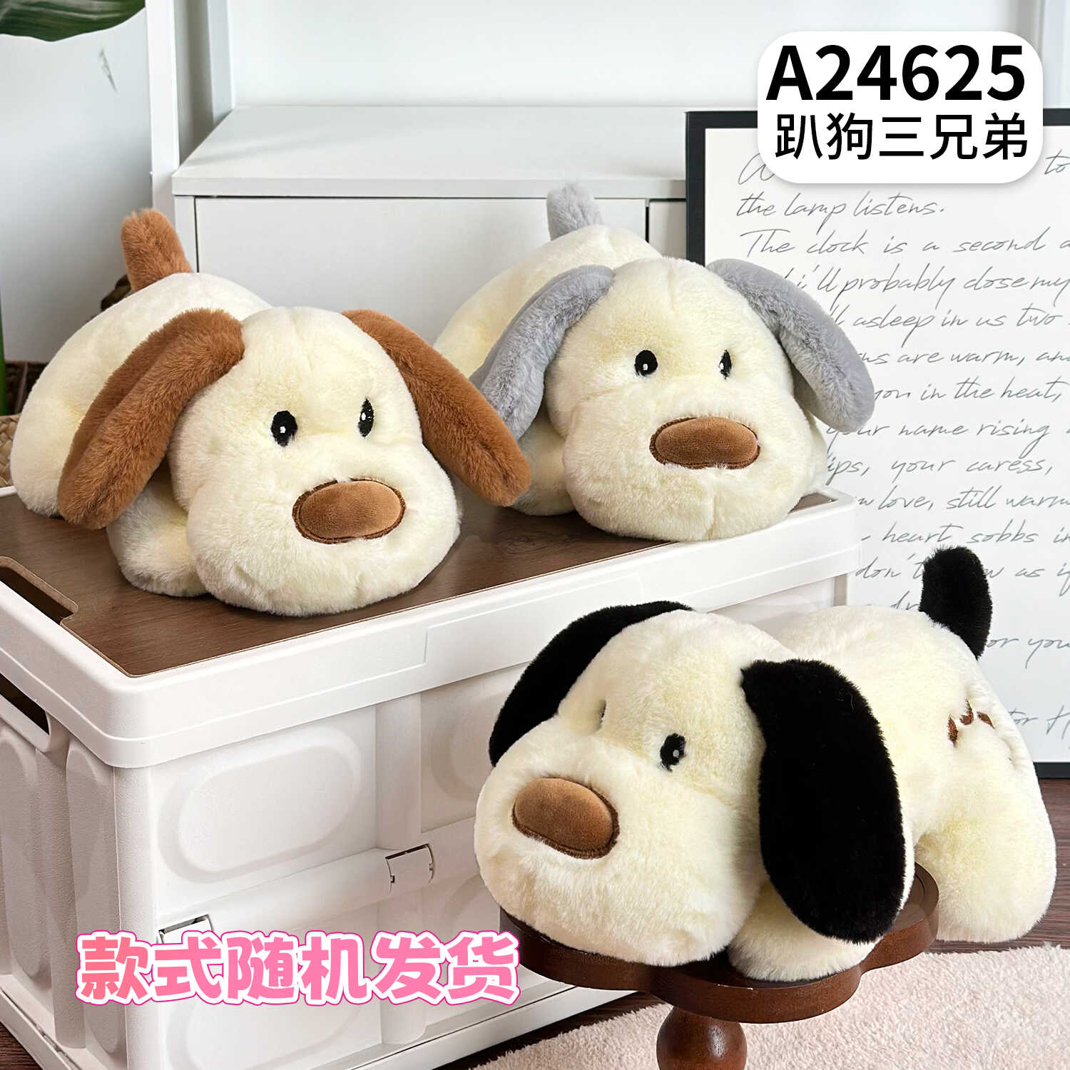 A24625