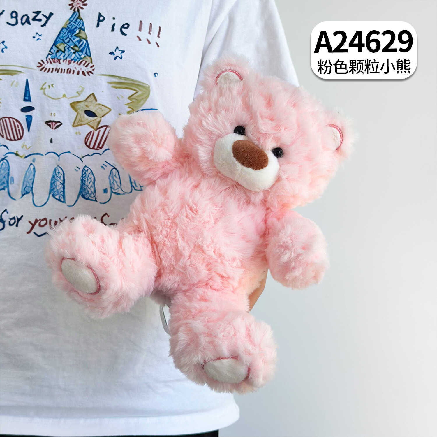 A24629