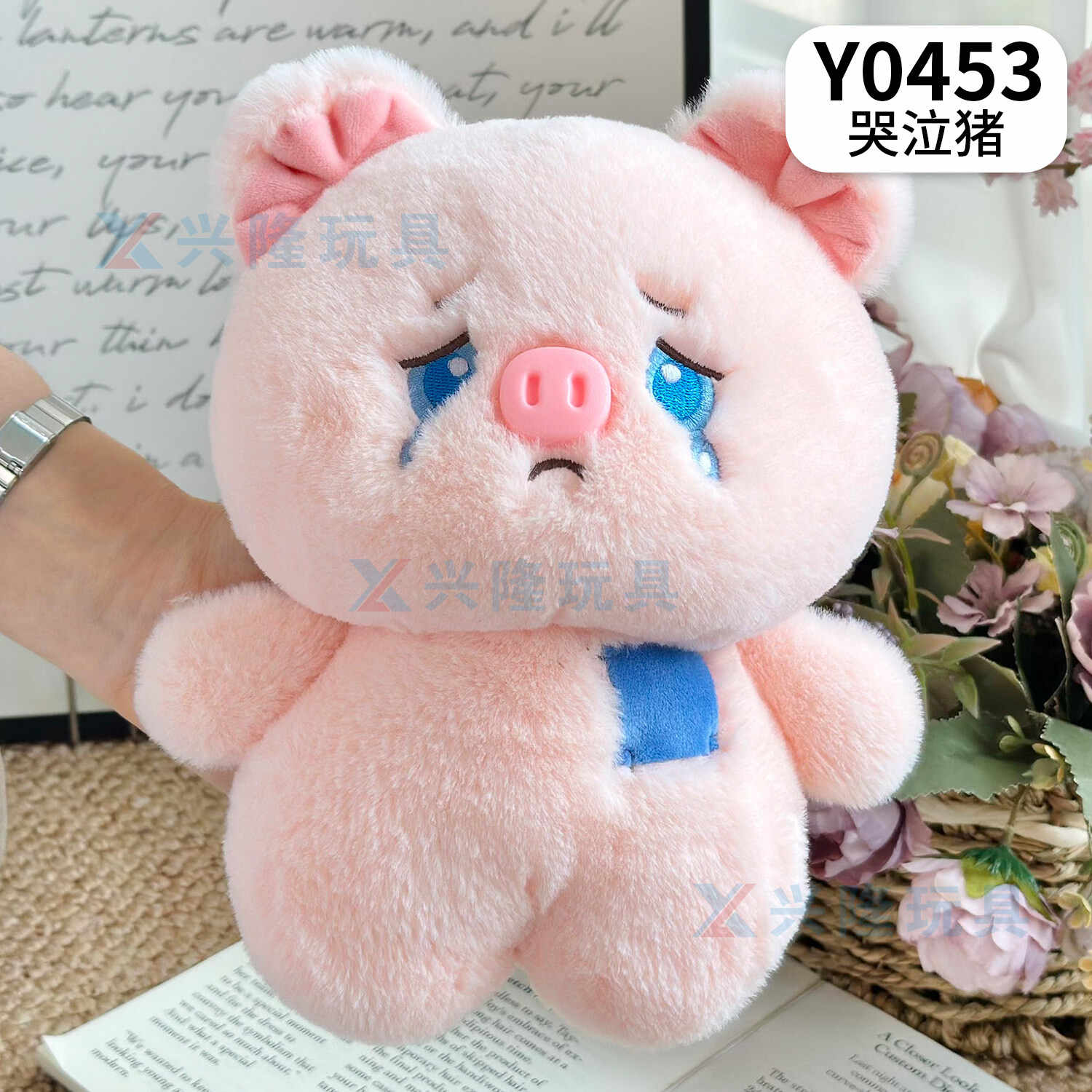 Y0453