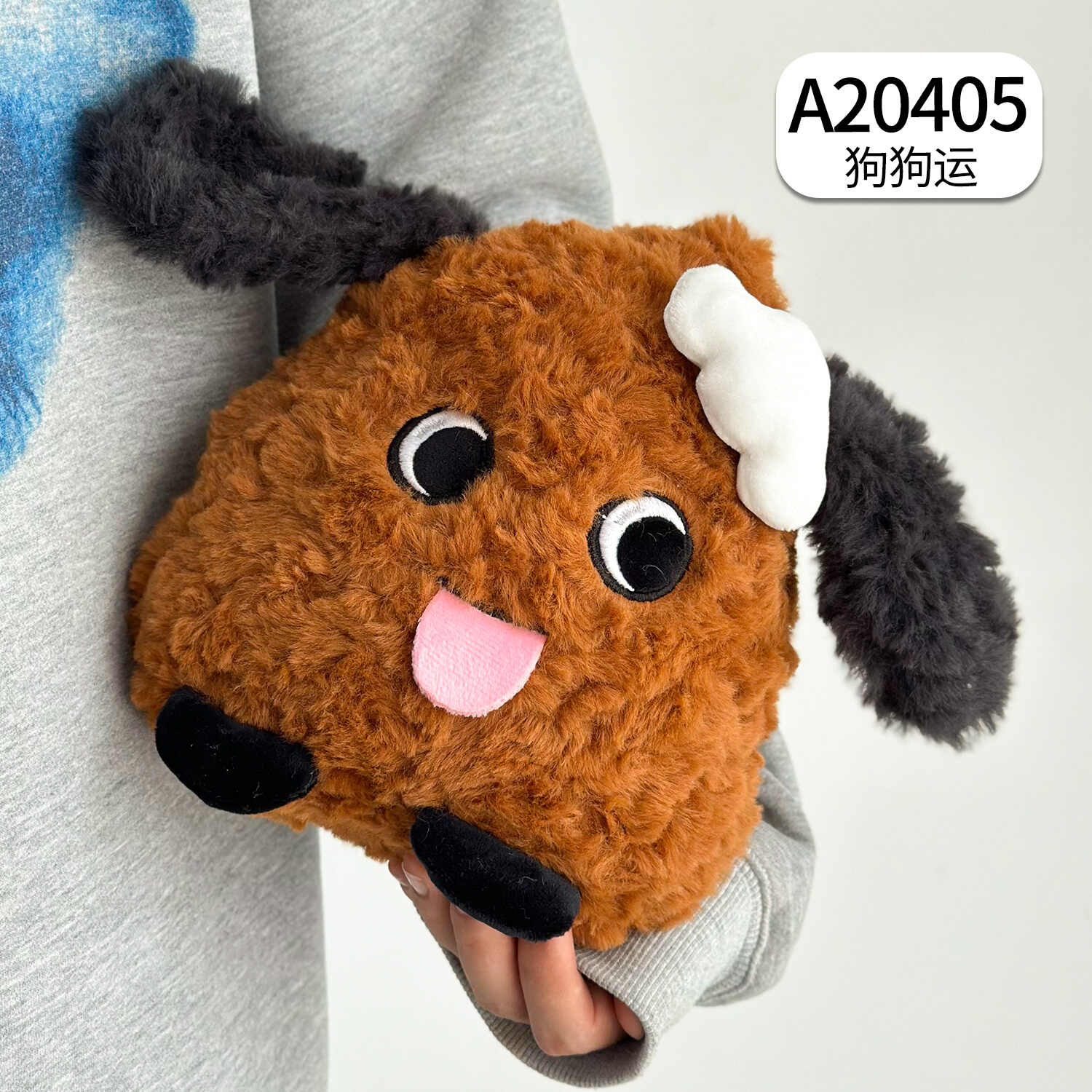 A20405