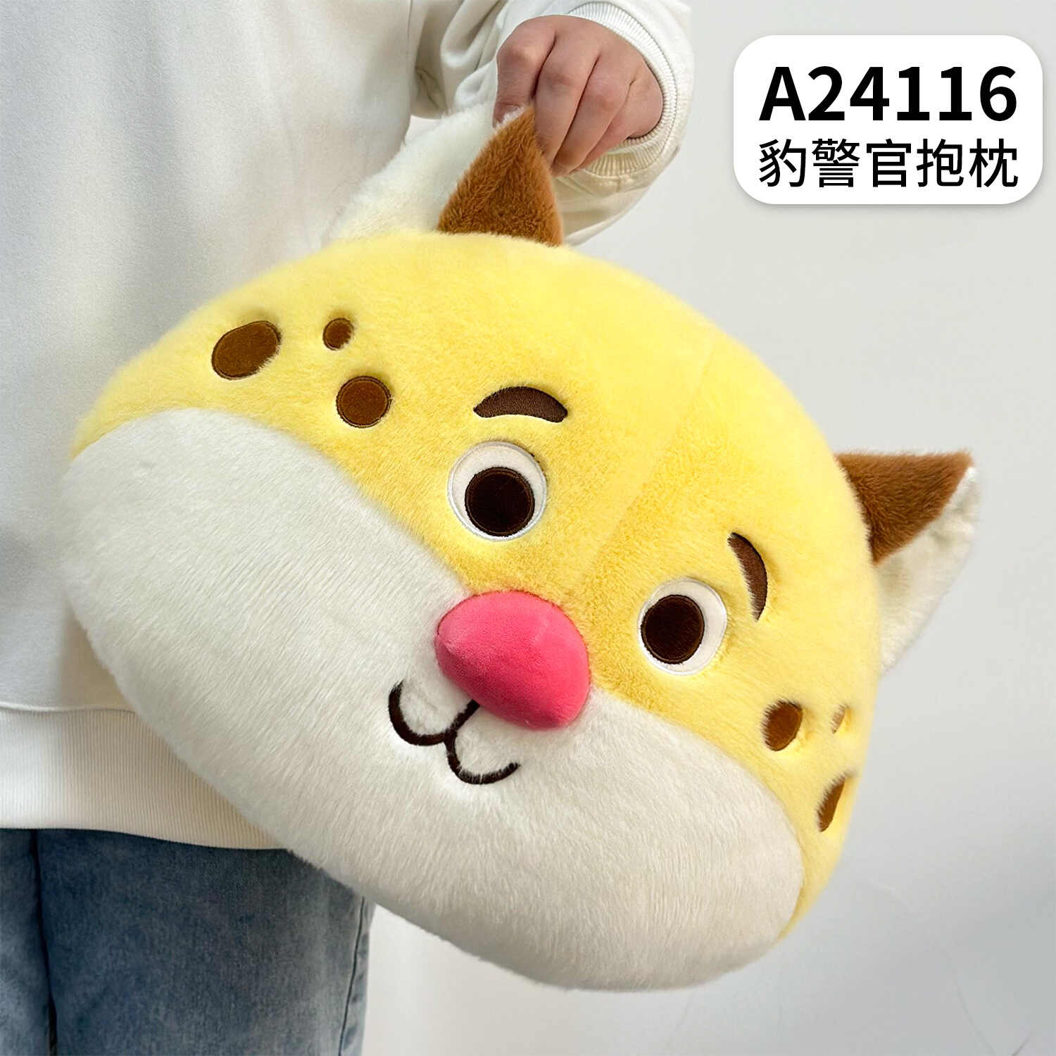 A24116