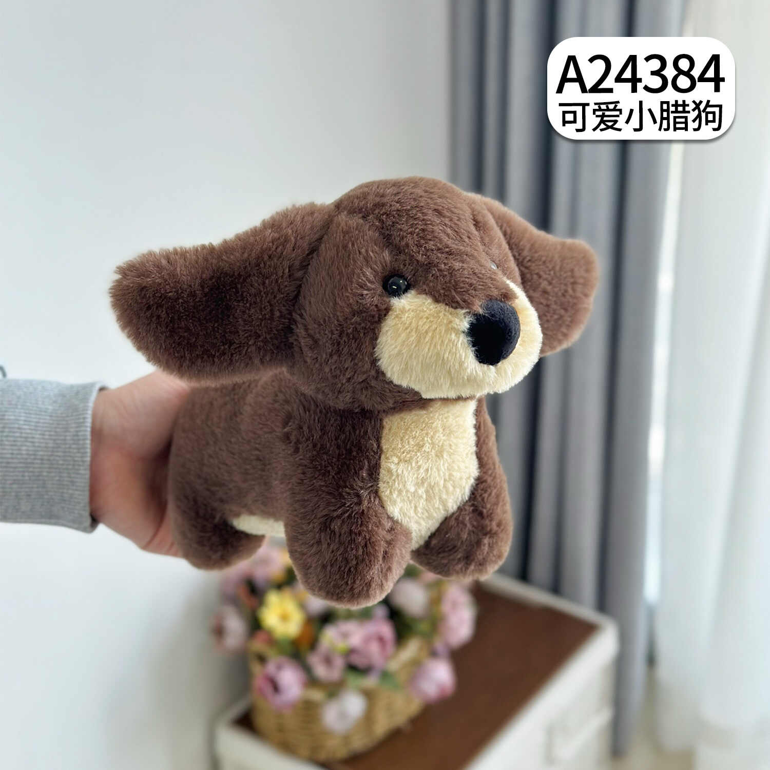 A24384