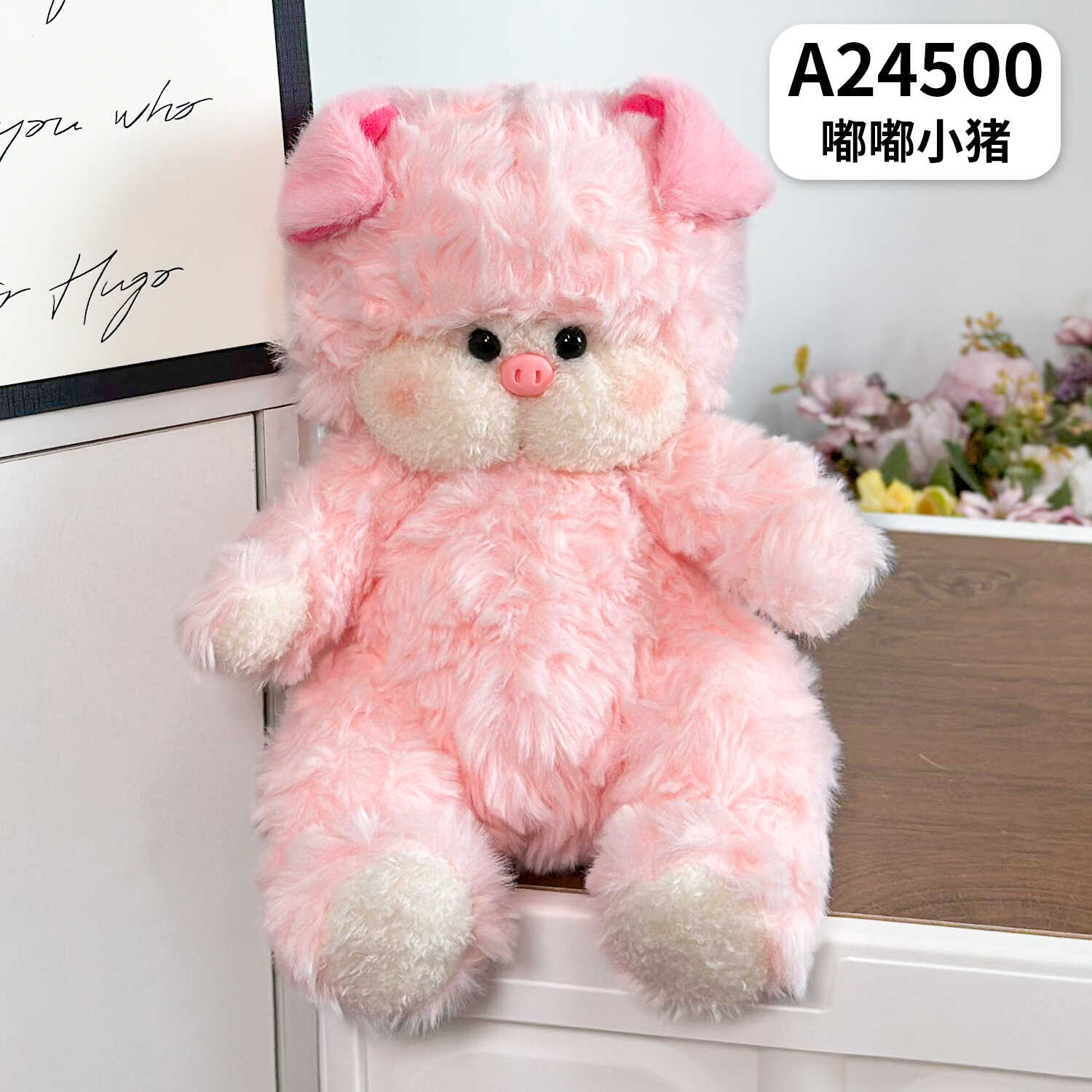 A24500