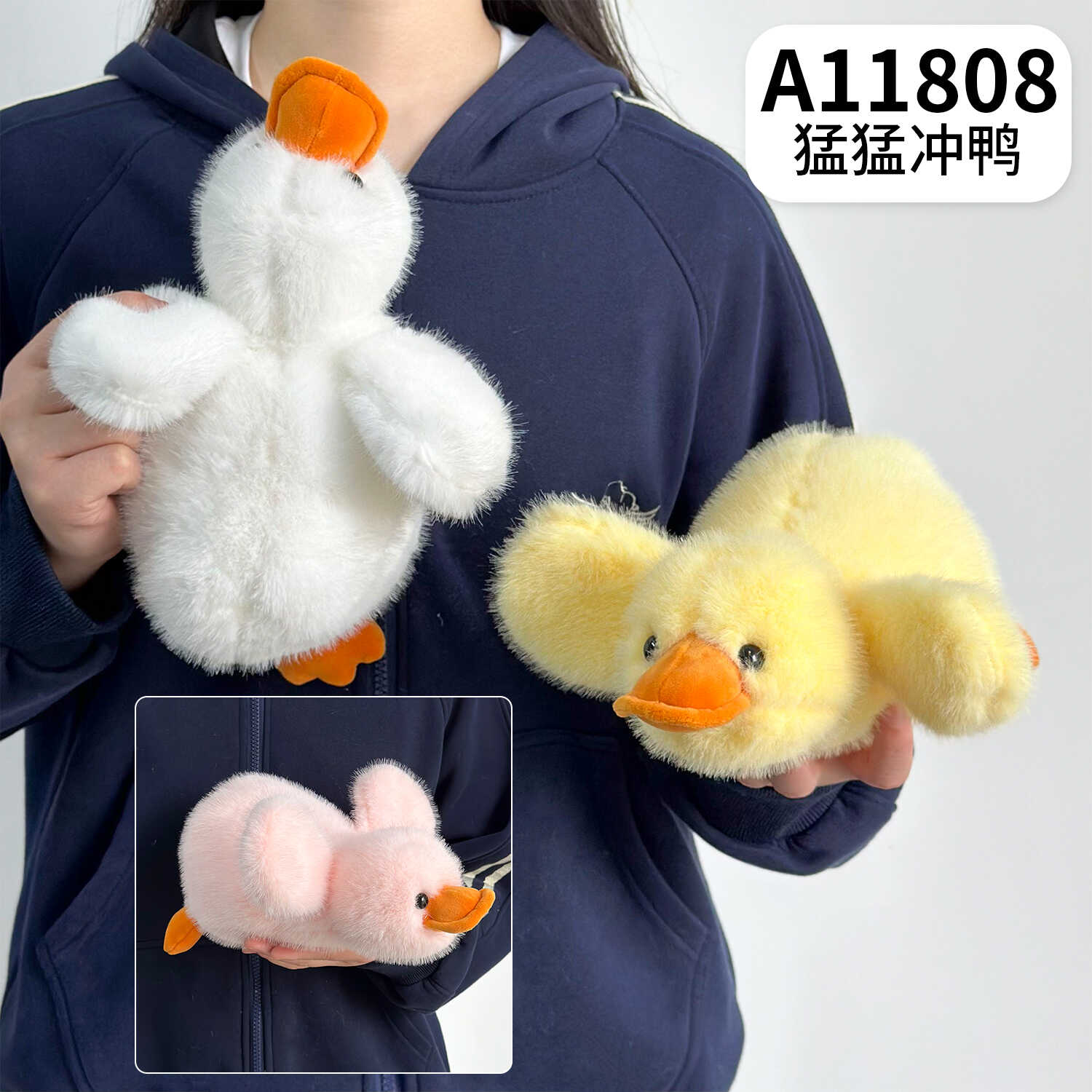 A11808