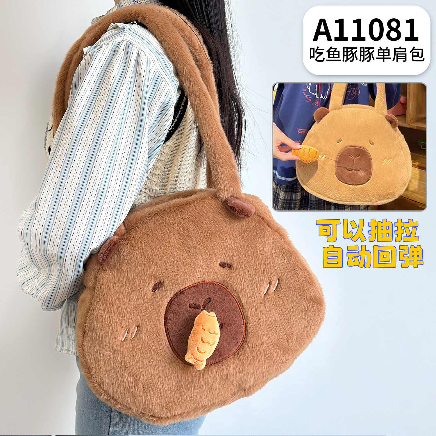 A11081